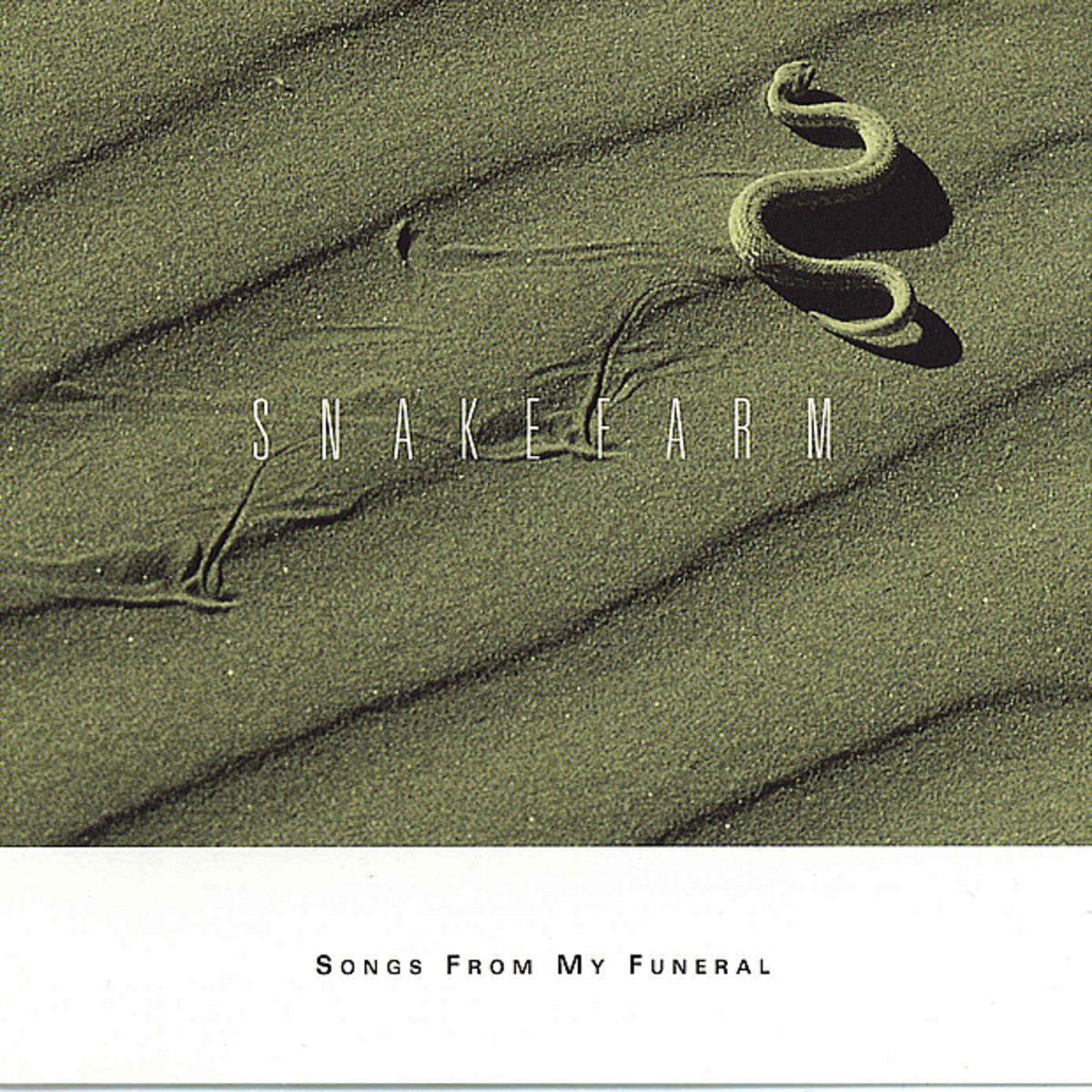 This Train That I Ride