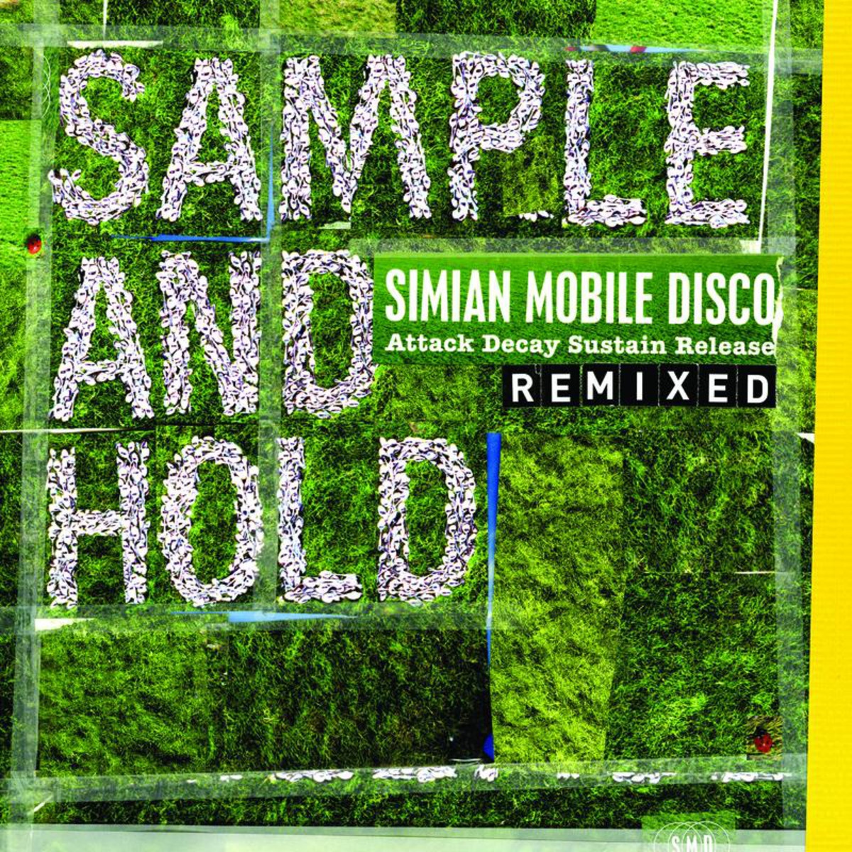 SAMPLE AND HOLD: Attack Decay Sustain Release REMIXED
