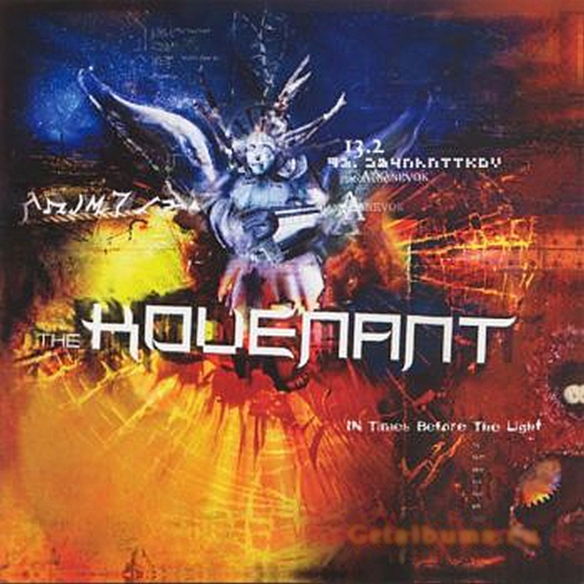 Through the Eyes of the Raven