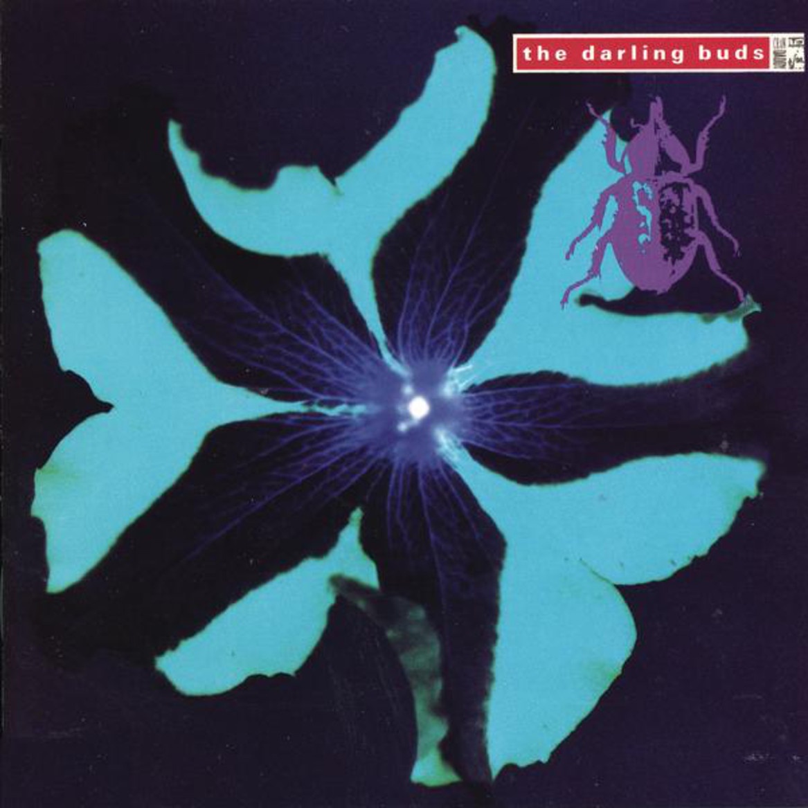 Crystal Clear - LP Version