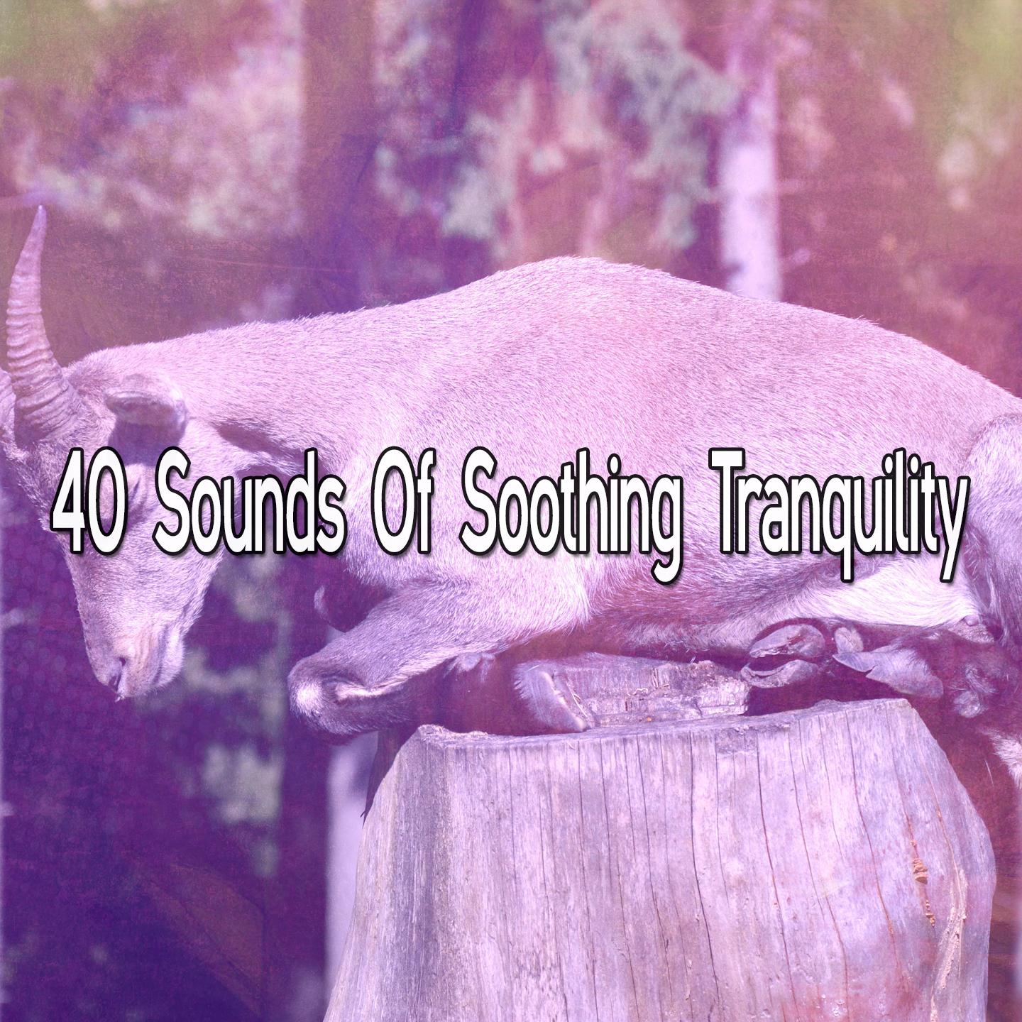40 Sounds of Soothing Tranquility