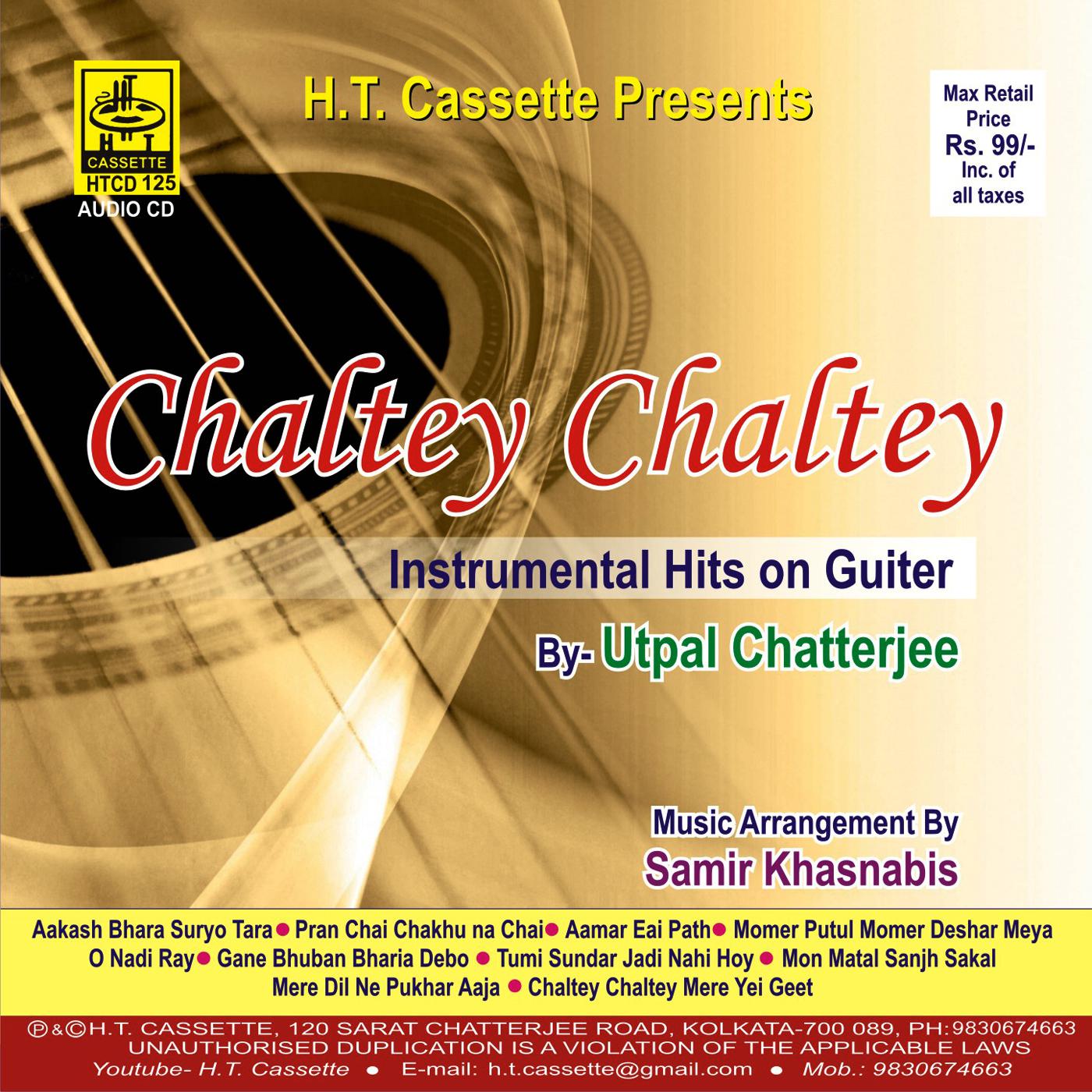 Ogo jagath janani tara trinayani