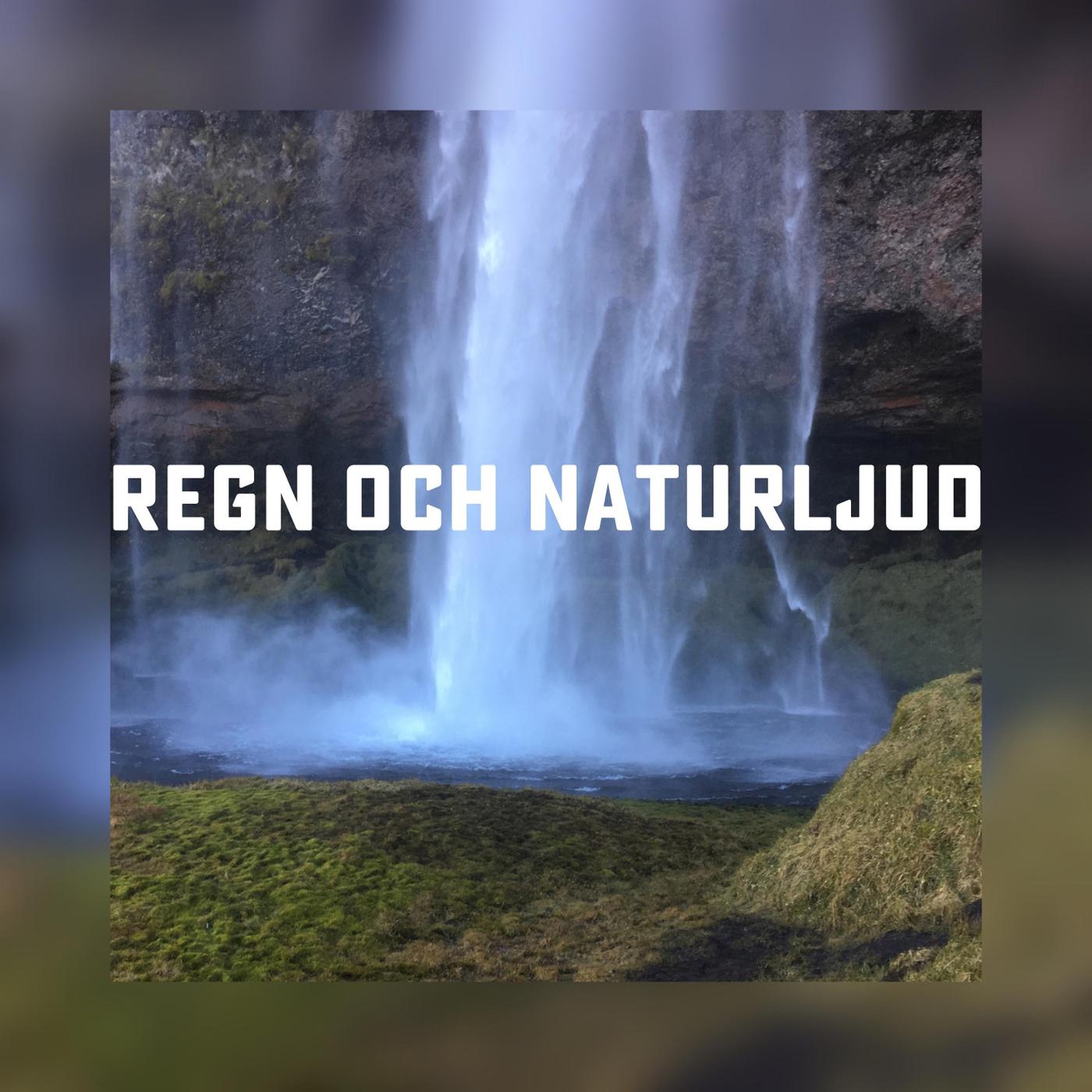 Waterfall Seljalandfoss Iceland