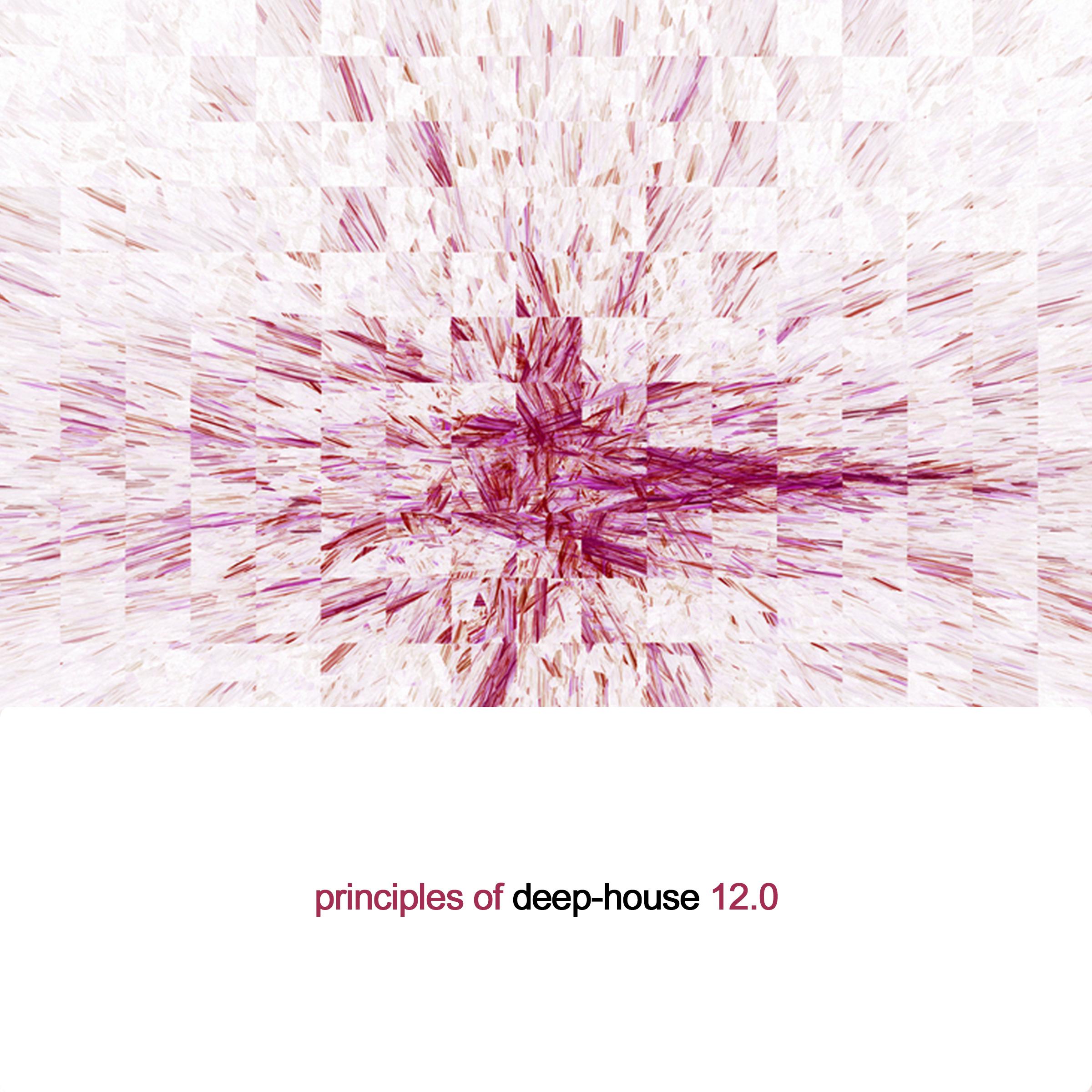 Principles of Deep House 12