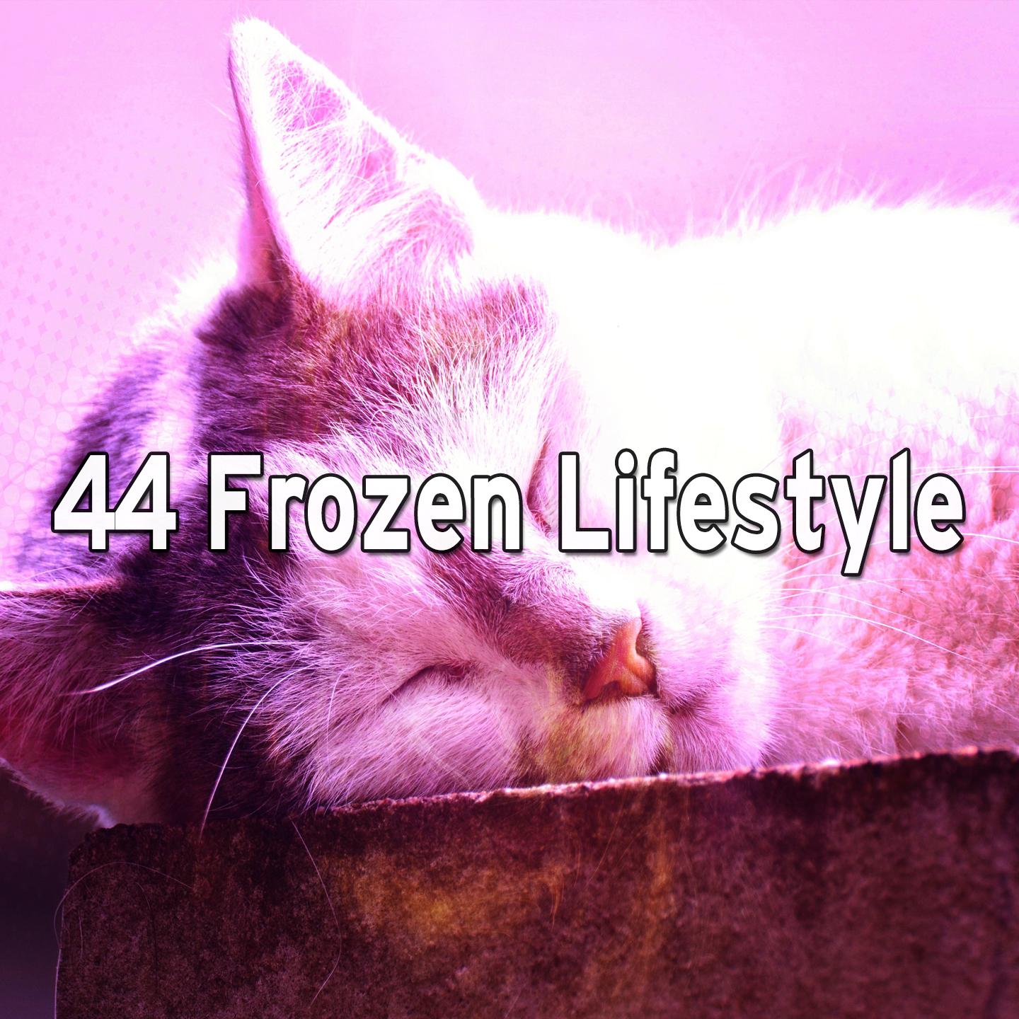 44 Frozen Lifestyle