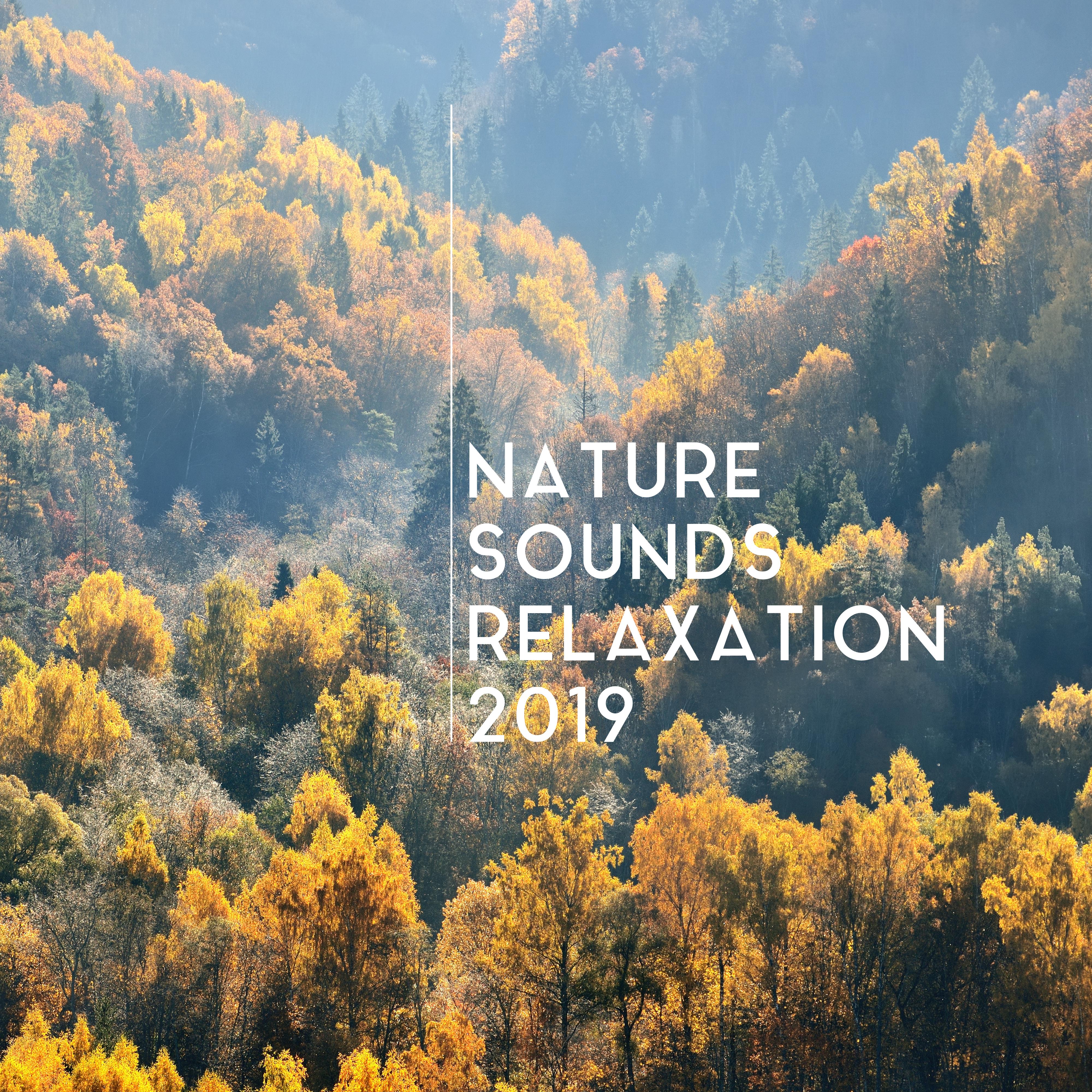 Nature Sounds Relaxation 2019: 15 Soothing New Age Songs for Perfect Relaxation After Tough Day, Stress Relief & Calming Down
