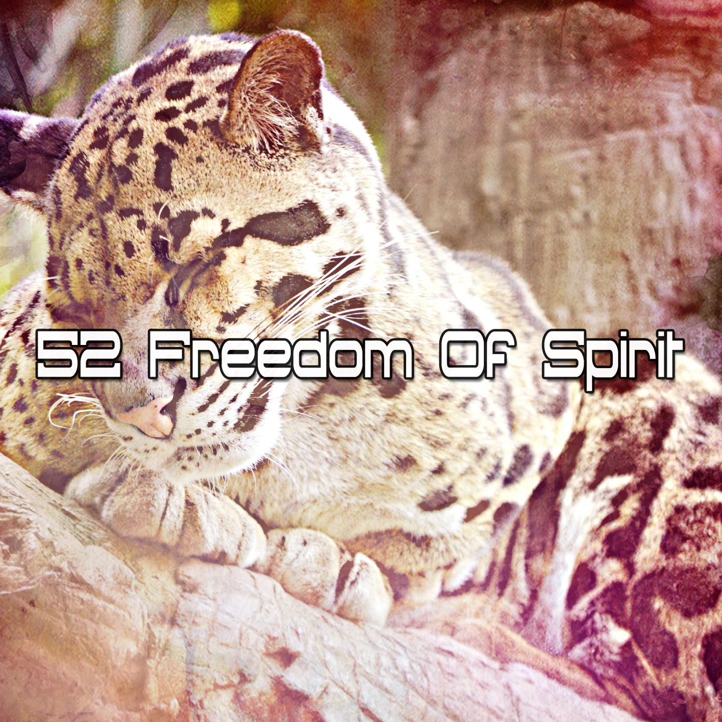 52 Freedom of Spirit