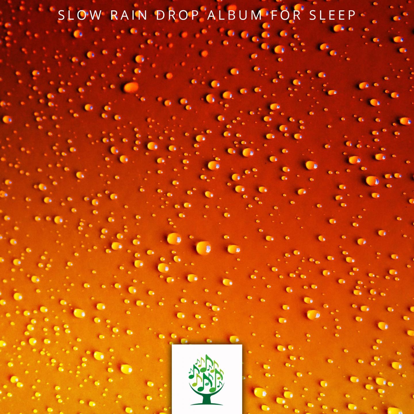 Slow Rain Drop Album for Sleep