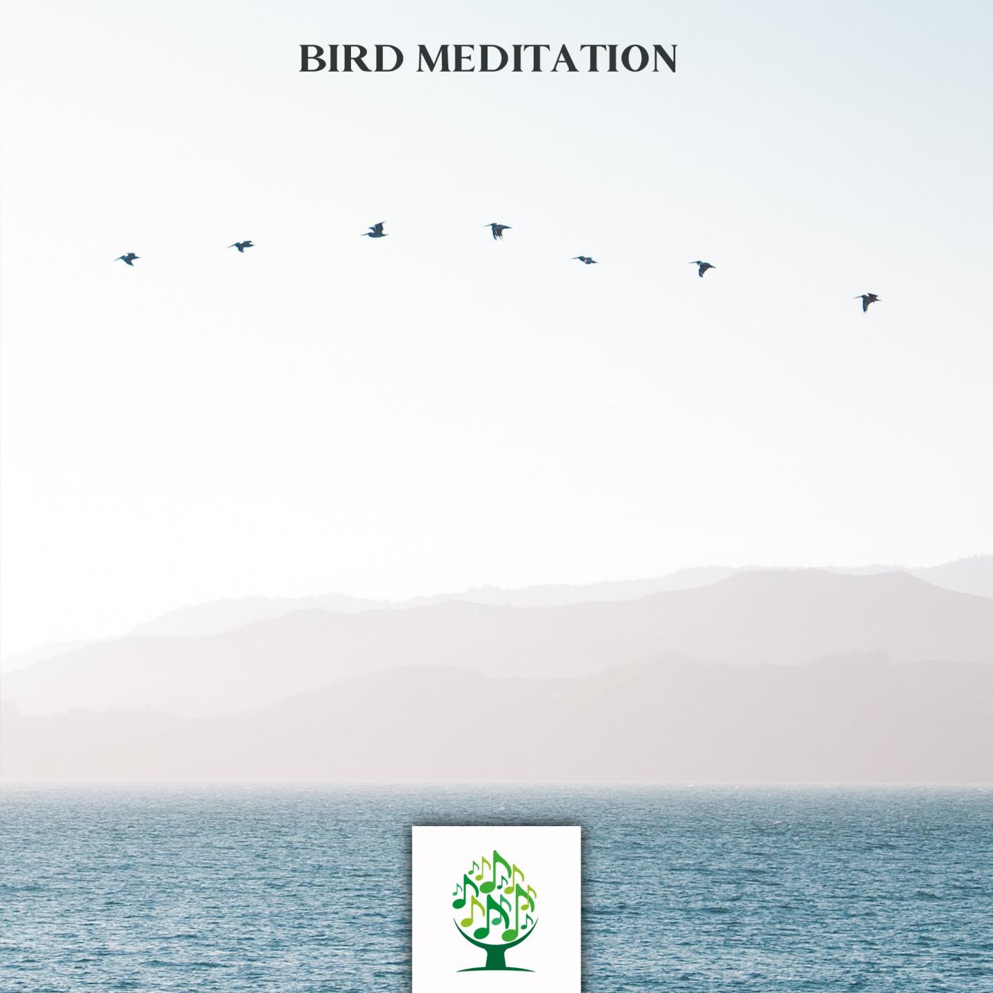 Bird Meditation