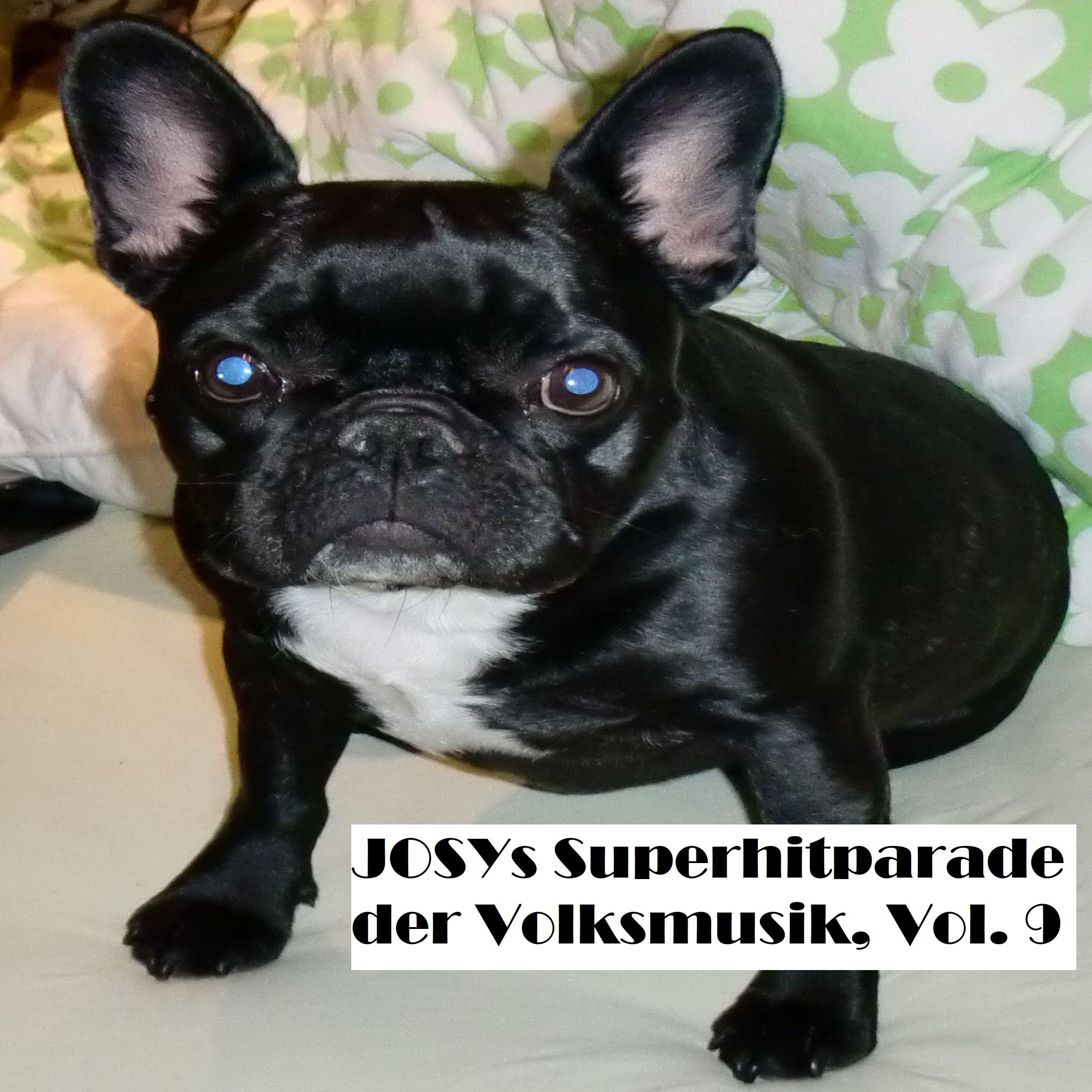 Josys Superhitparade der Volksmusik, Vol. 9