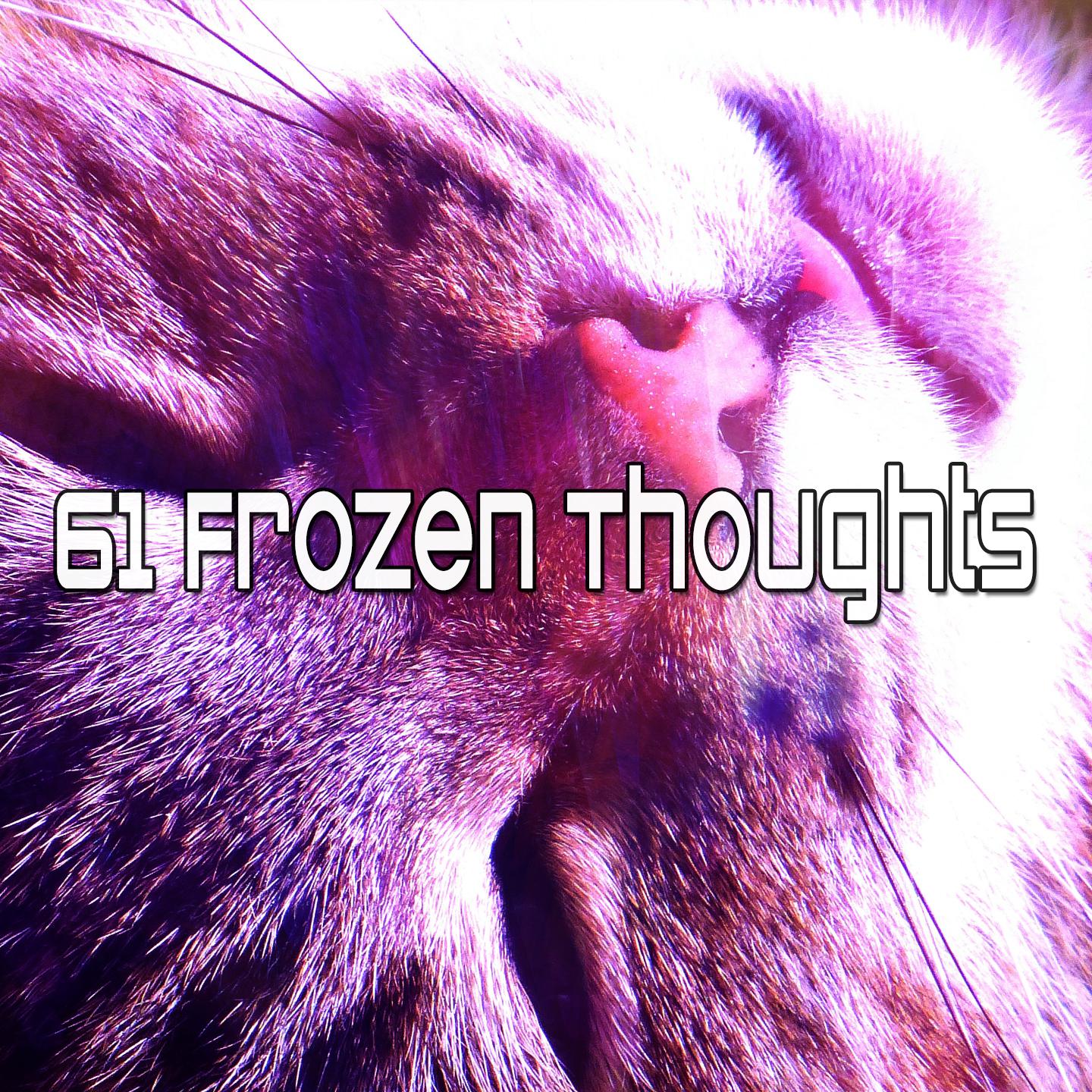 61 Frozen Thoughts