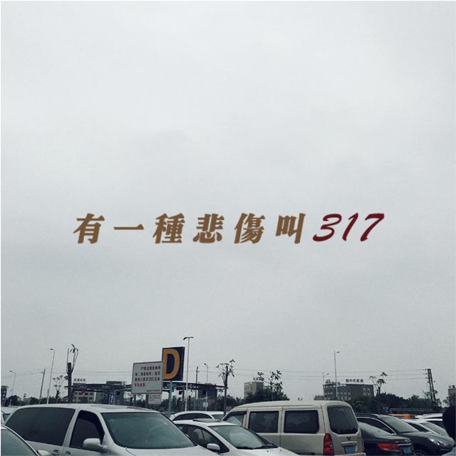 you yi zhong bei shang jiao 317