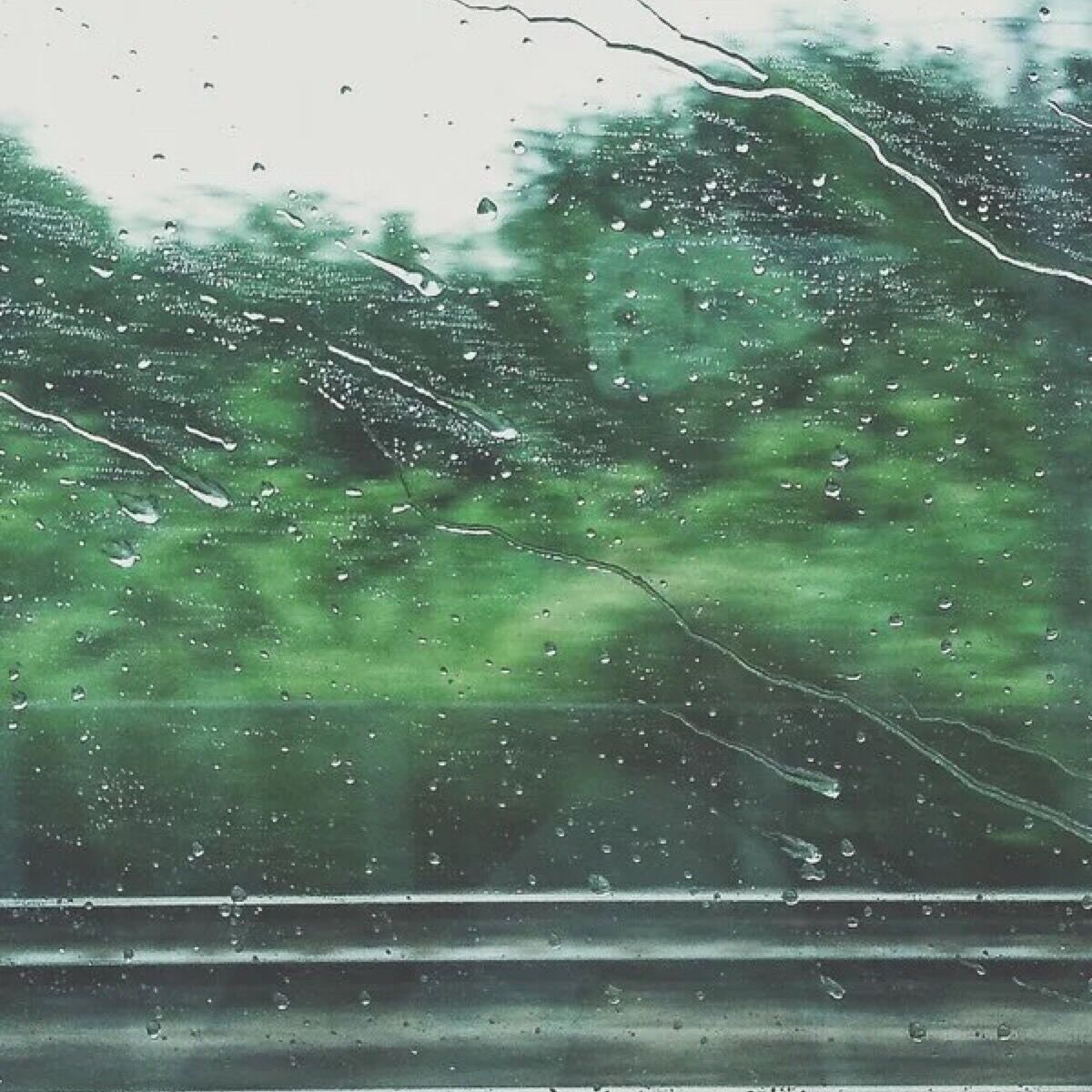 zhe yi sheng guan yu ni de feng jing