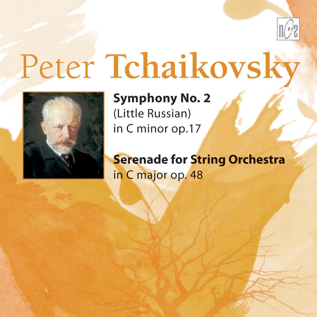 Serenade for string orchestra in C Major. III. Elegia
