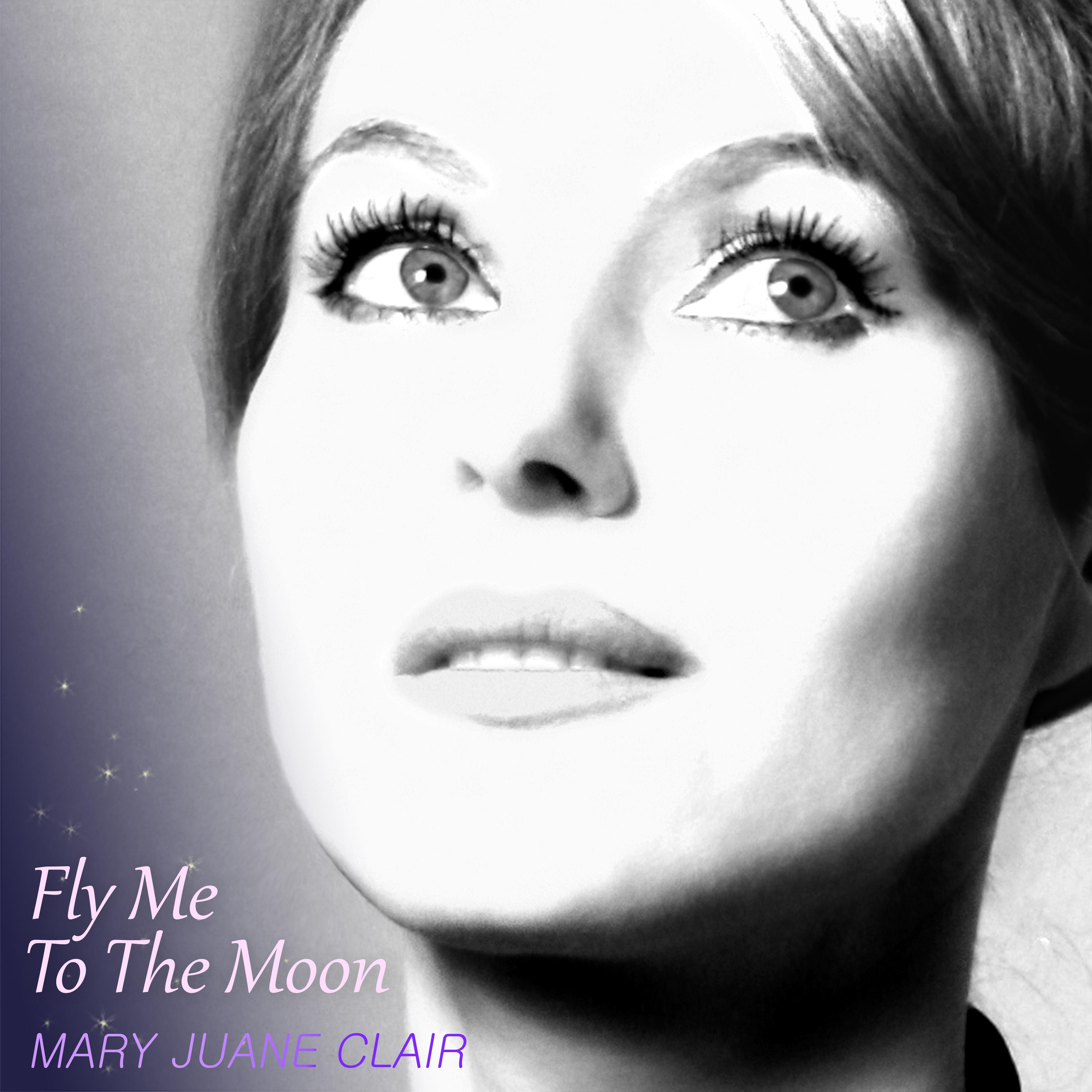 Fly Me To The Moon