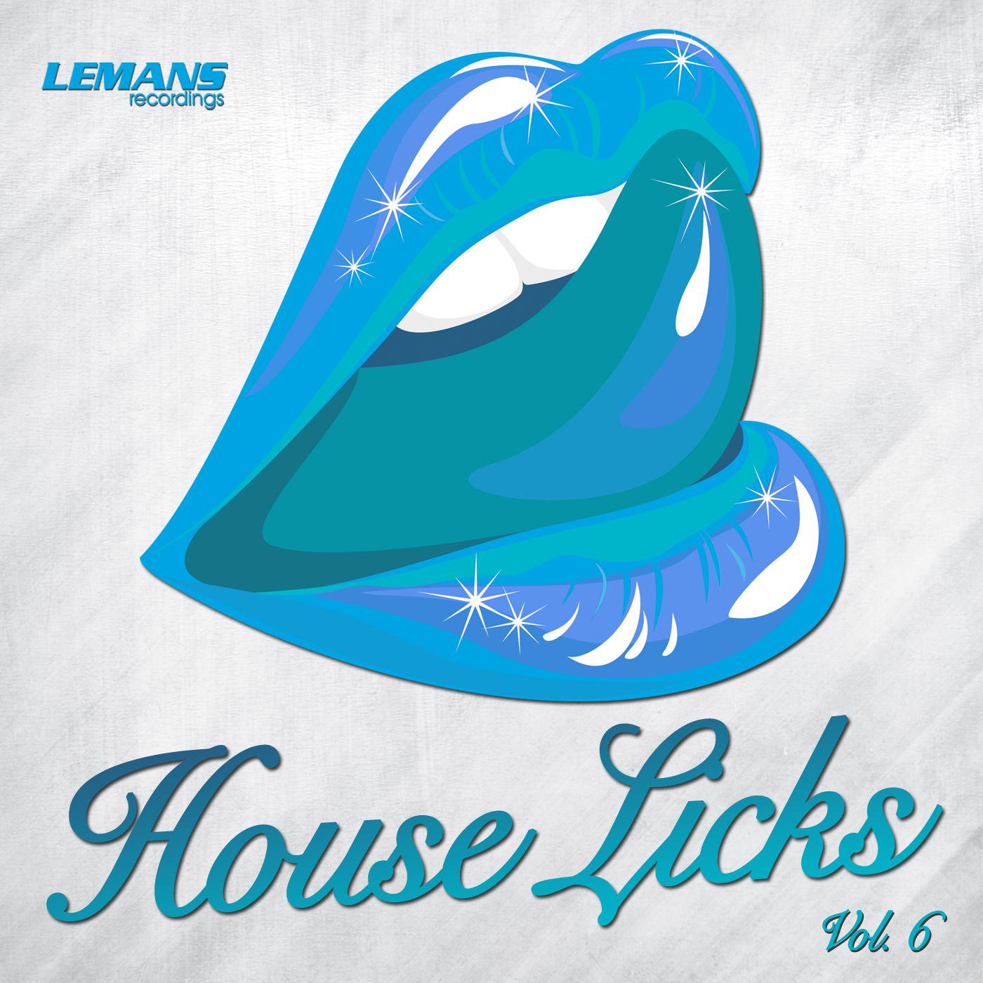 House Licks, Vol. 6