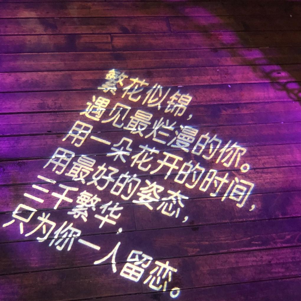 wo de yi ge dao gu peng you