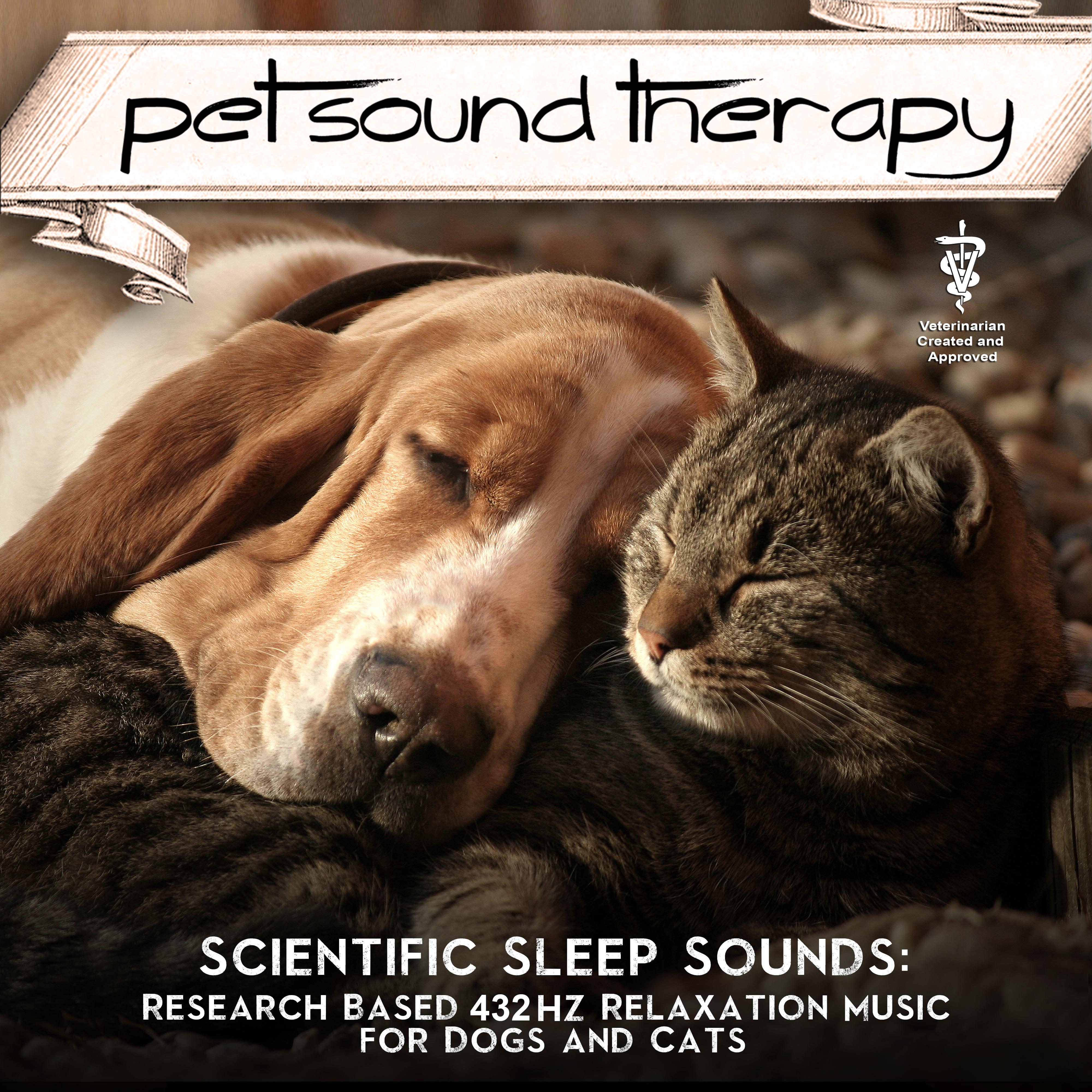 Scientific Sleep Sounds: Research Based 432hz Relaxation Music for Dogs and Cats