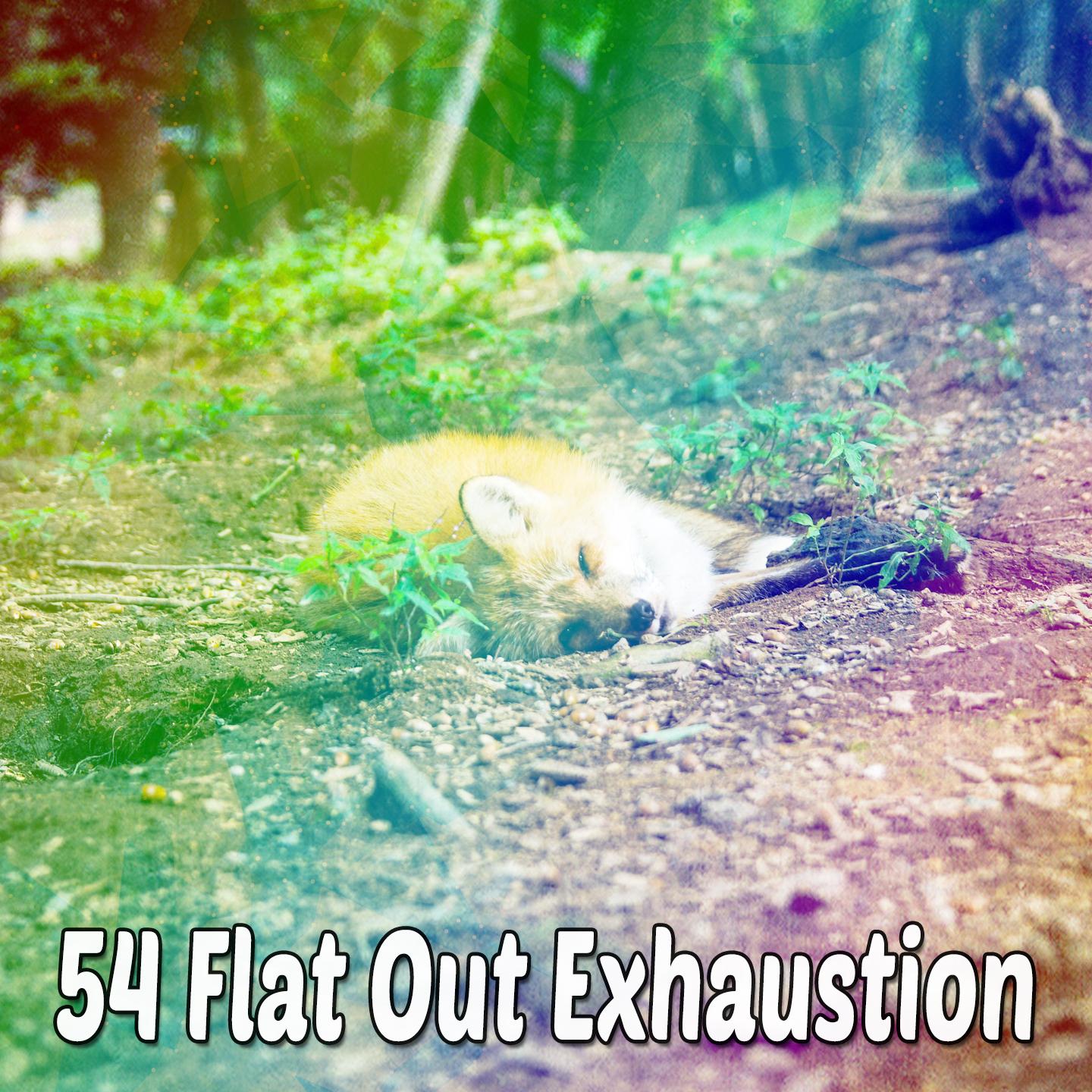 54 Flat out Exhaustion