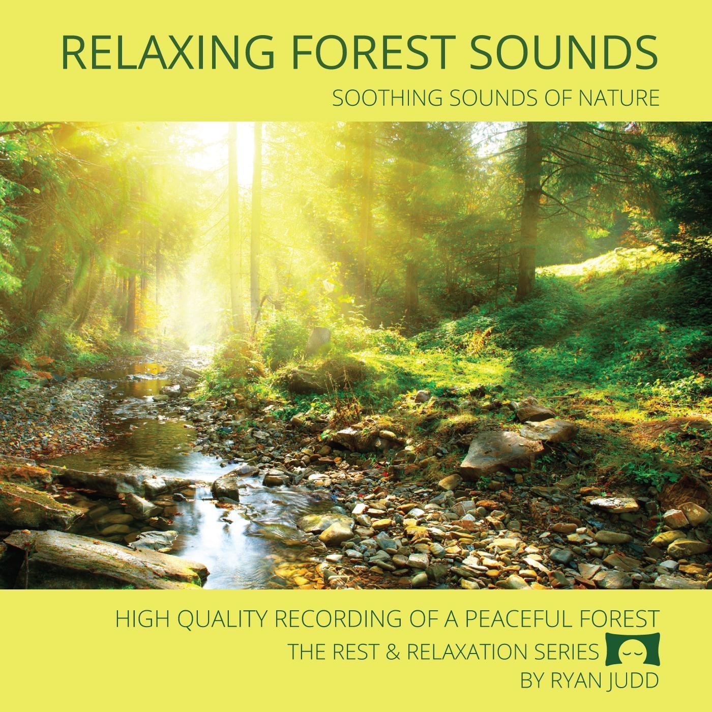 Relaxing Forest Sounds - Soothing Sounds of Nature