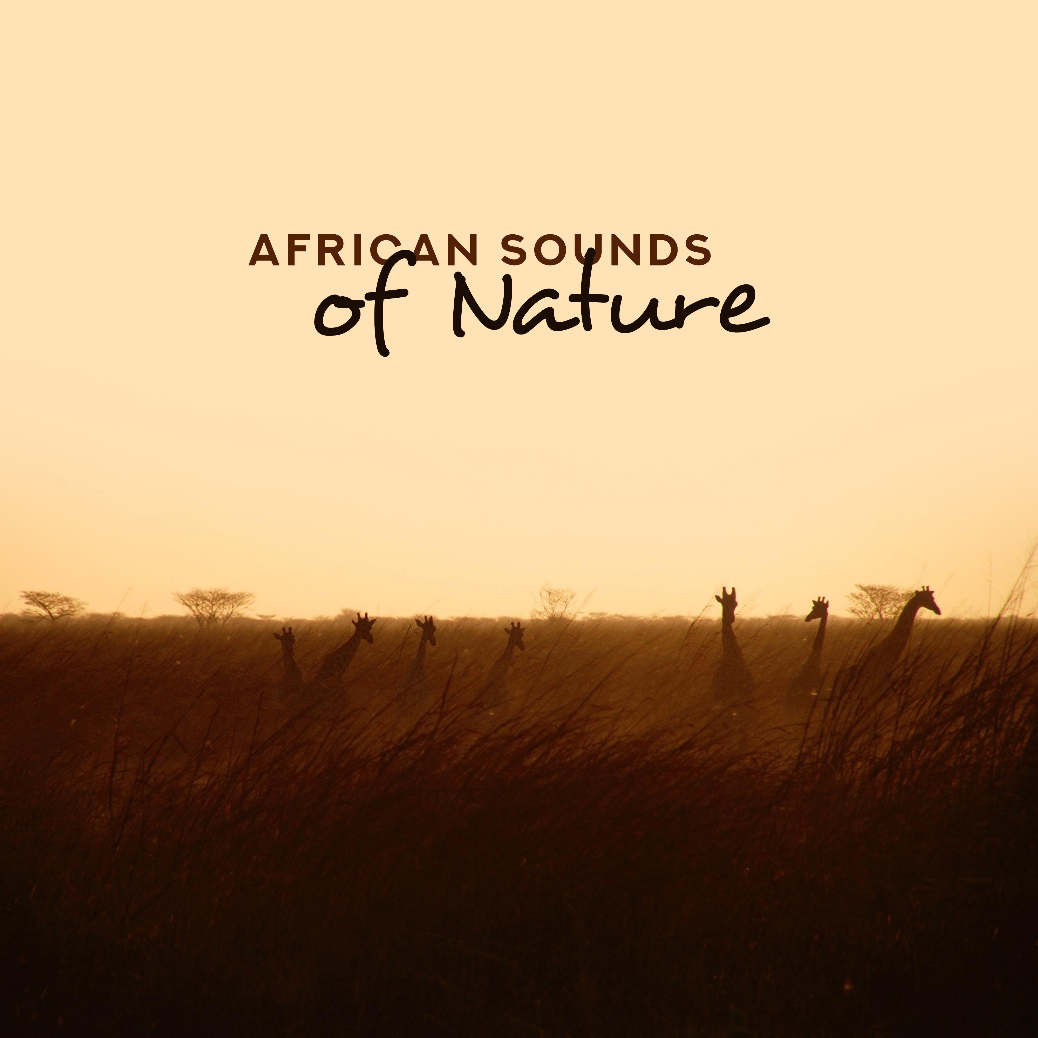 African Sounds of Nature: Ethnic Musical Compositions with Traditional African Drums and the Sounds of Nature