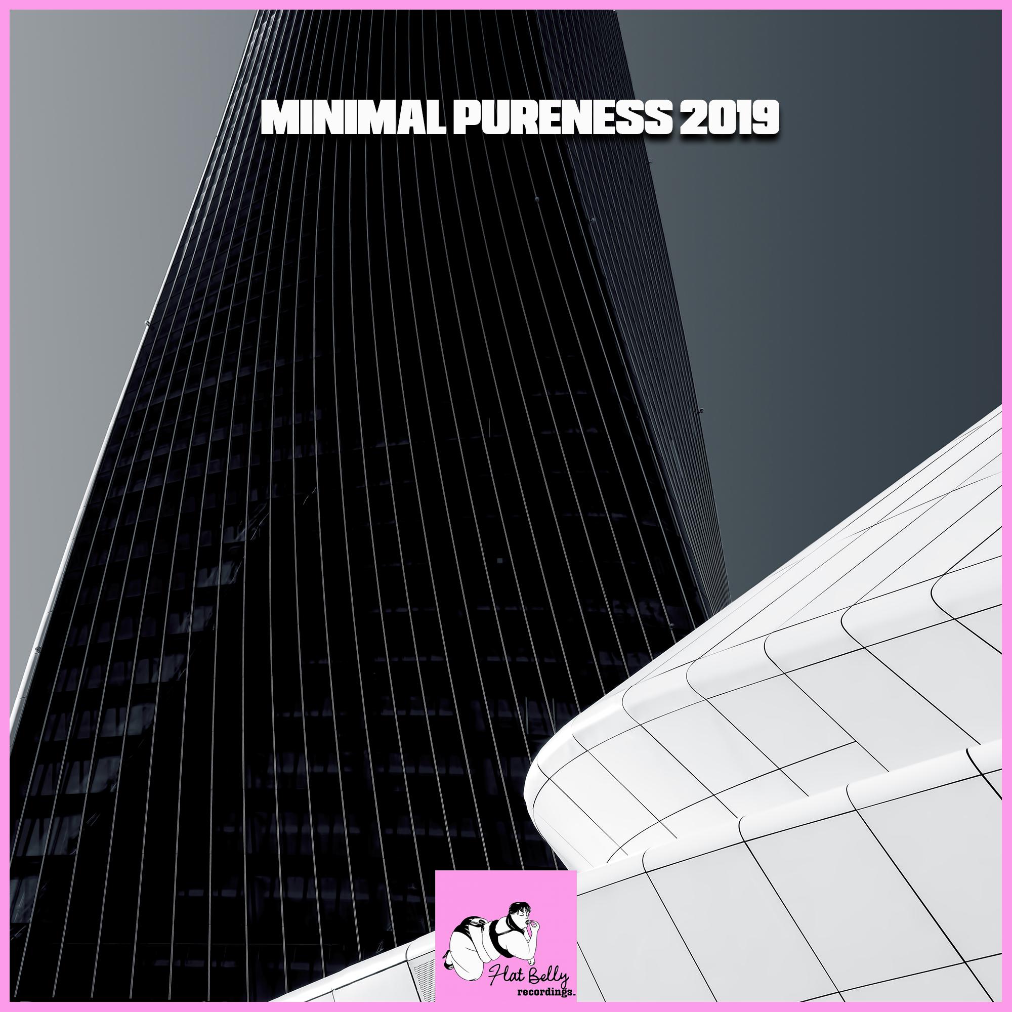 Minimal Pureness 2019