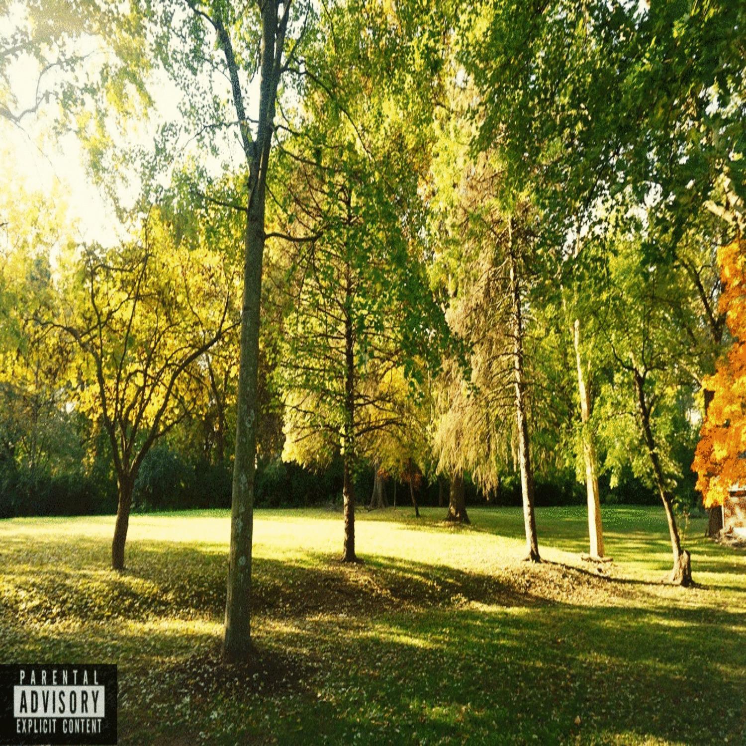 Reflective Urban Vibes