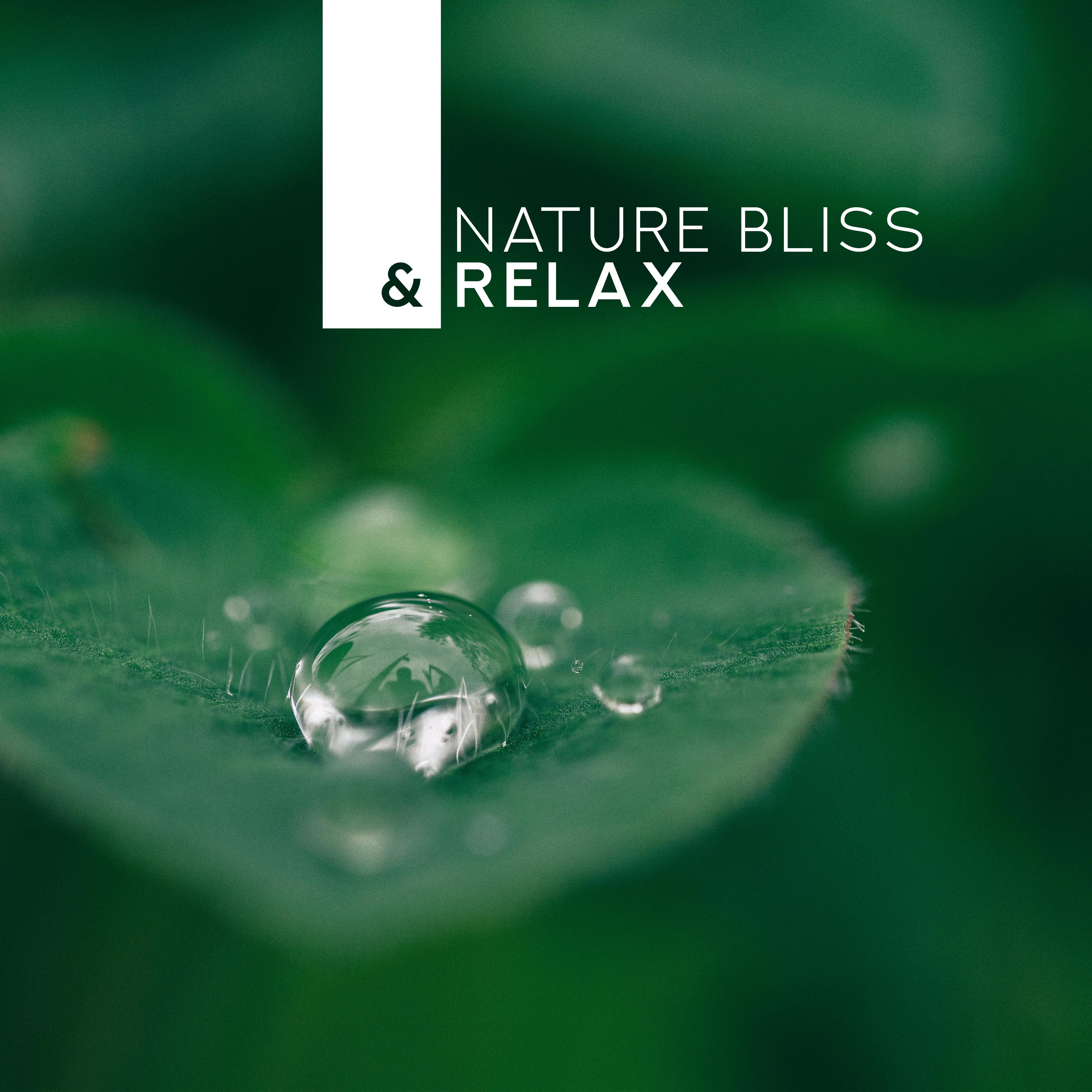 Nature Bliss  Relax  New Age Music for Reduce Stress, Nature Sounds, Pure Relaxation, Relaxing Music Therapy, Inner Harmony, Tranquil Peace, Zen Lounge