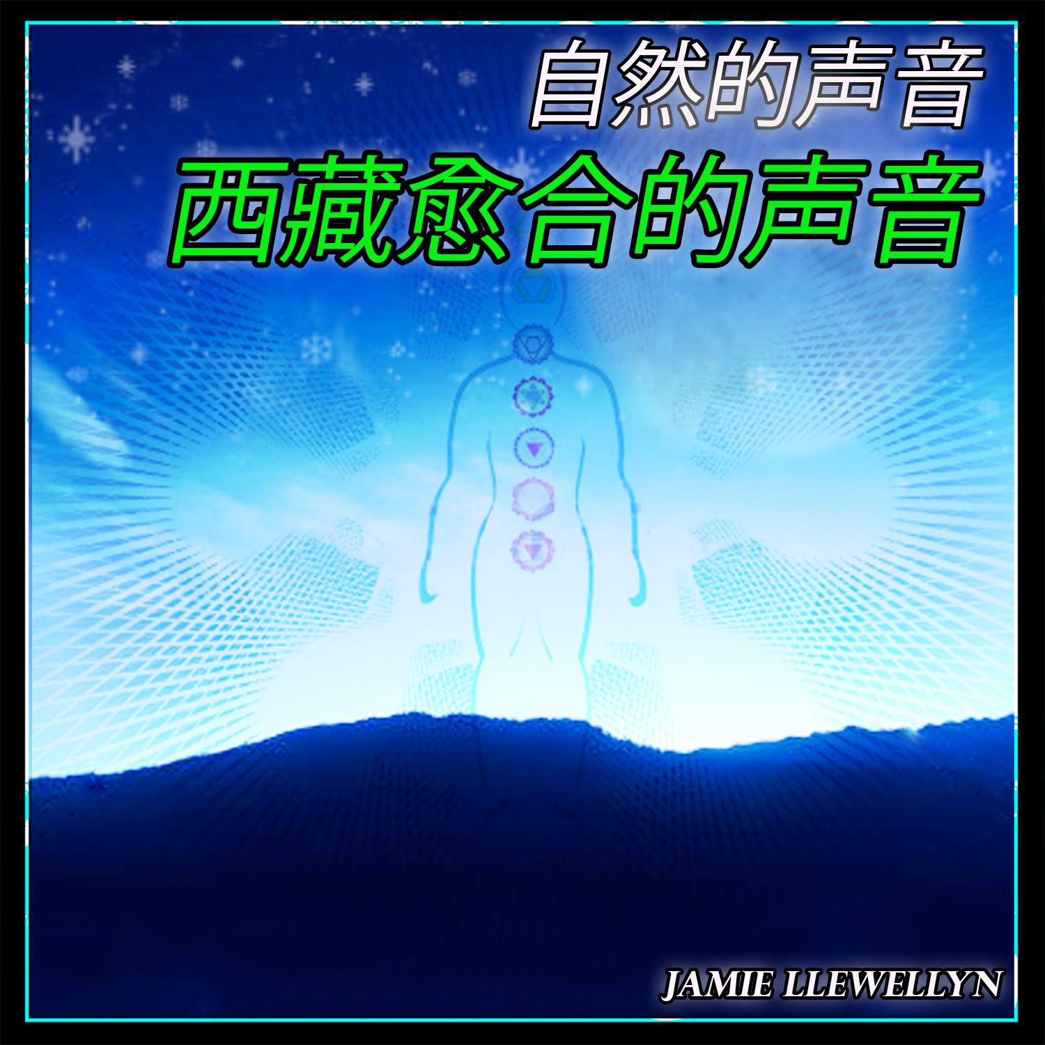 zi ran de sheng yin: xi zang yu he de sheng yin