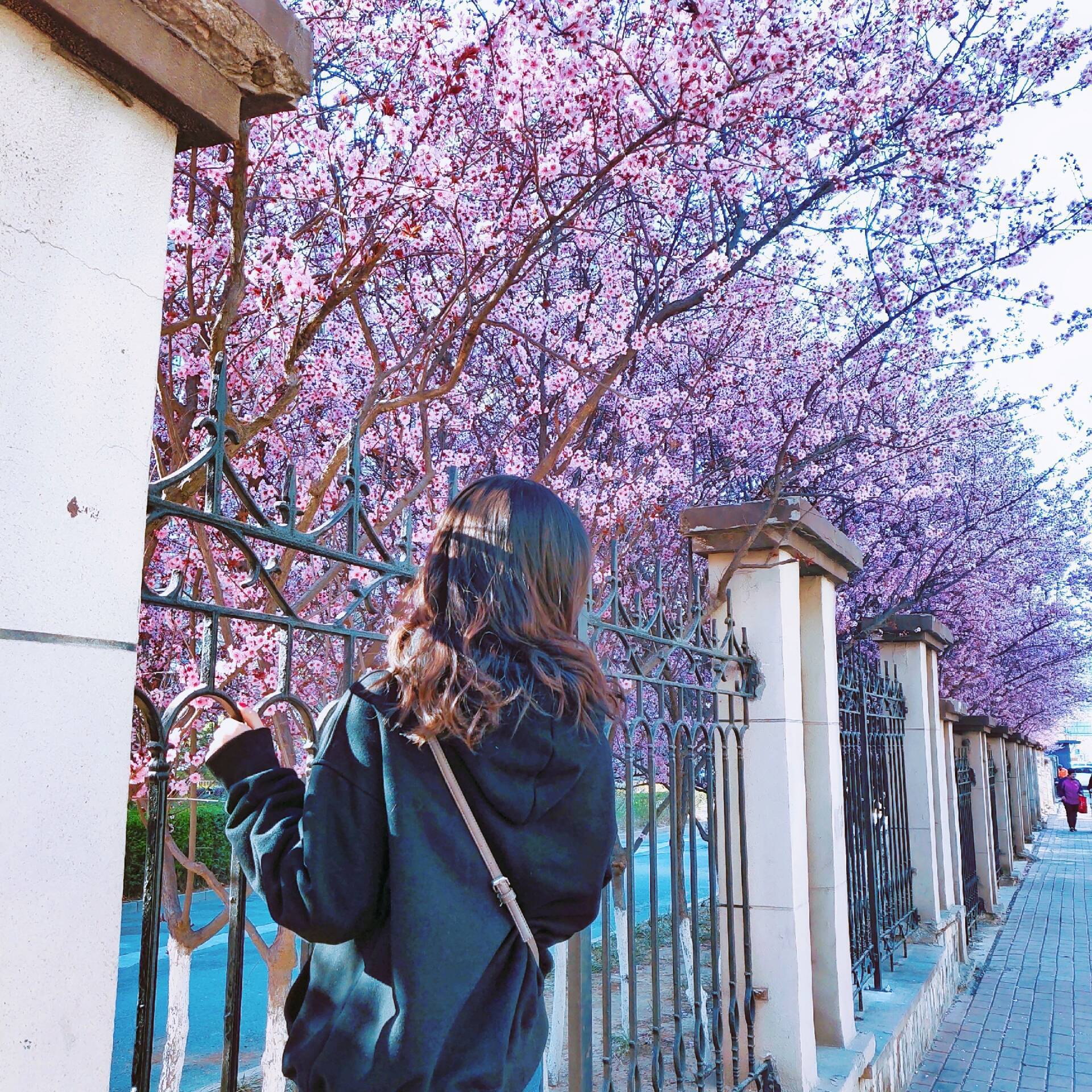 ALL SONGS TO MY BABY GIRL 455