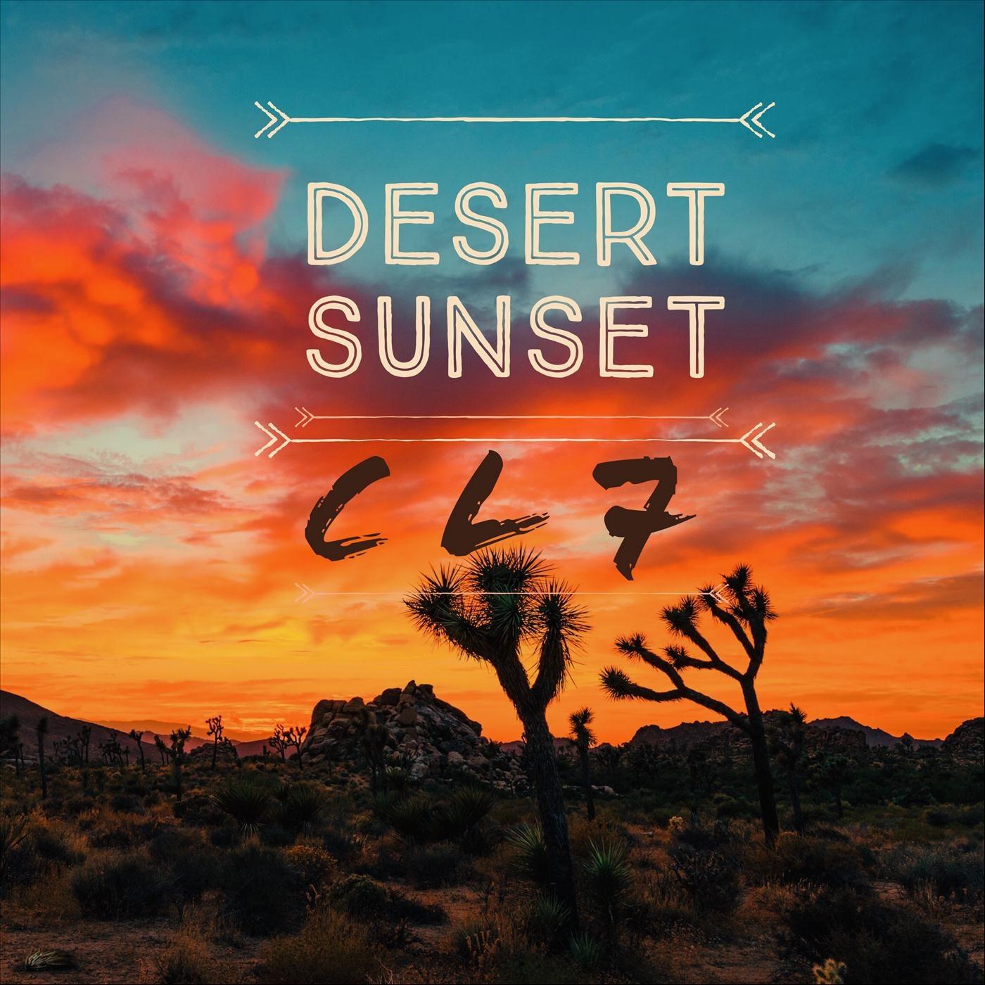 Desert Sunset