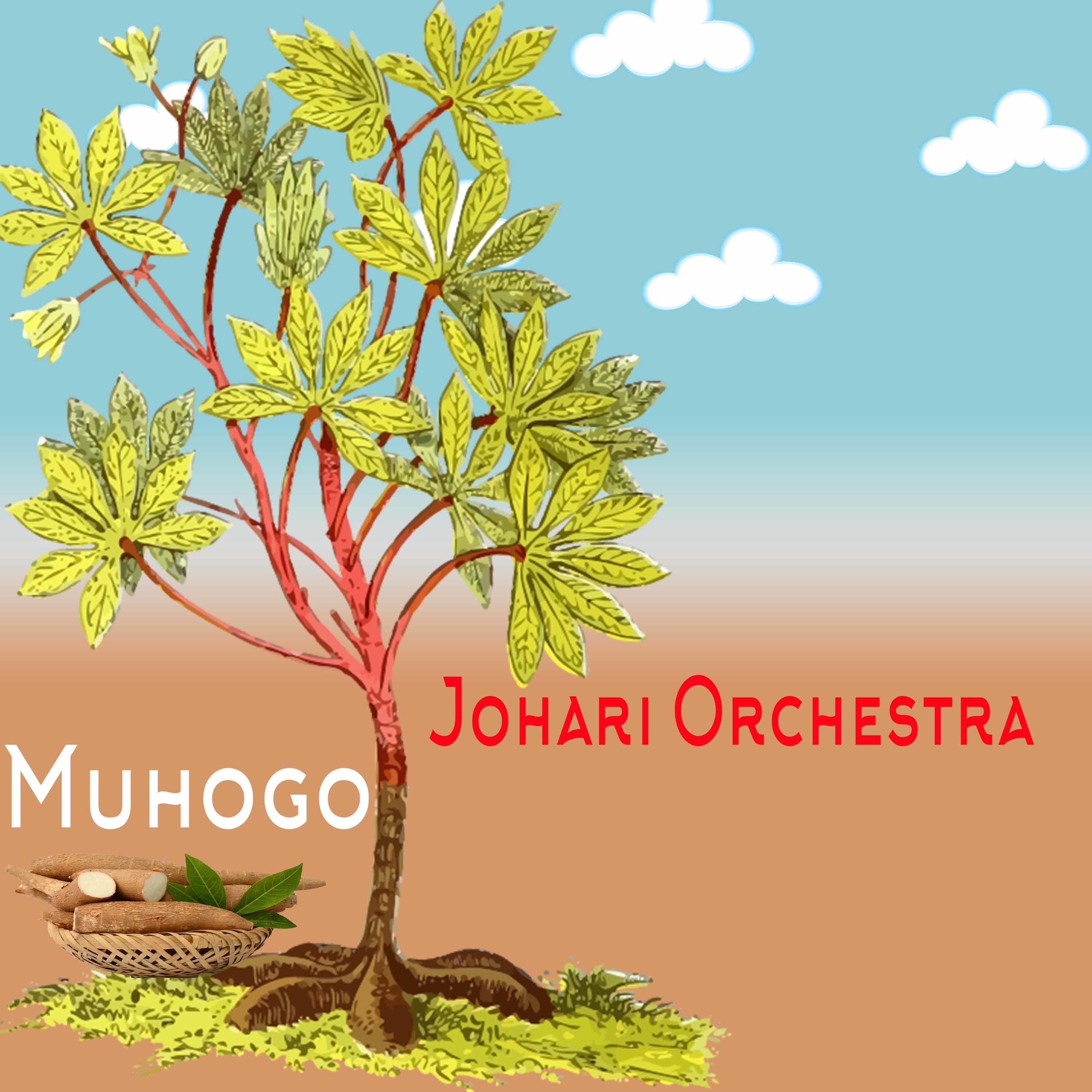 Muhogo
