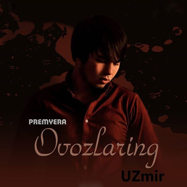 Ovozlaring
