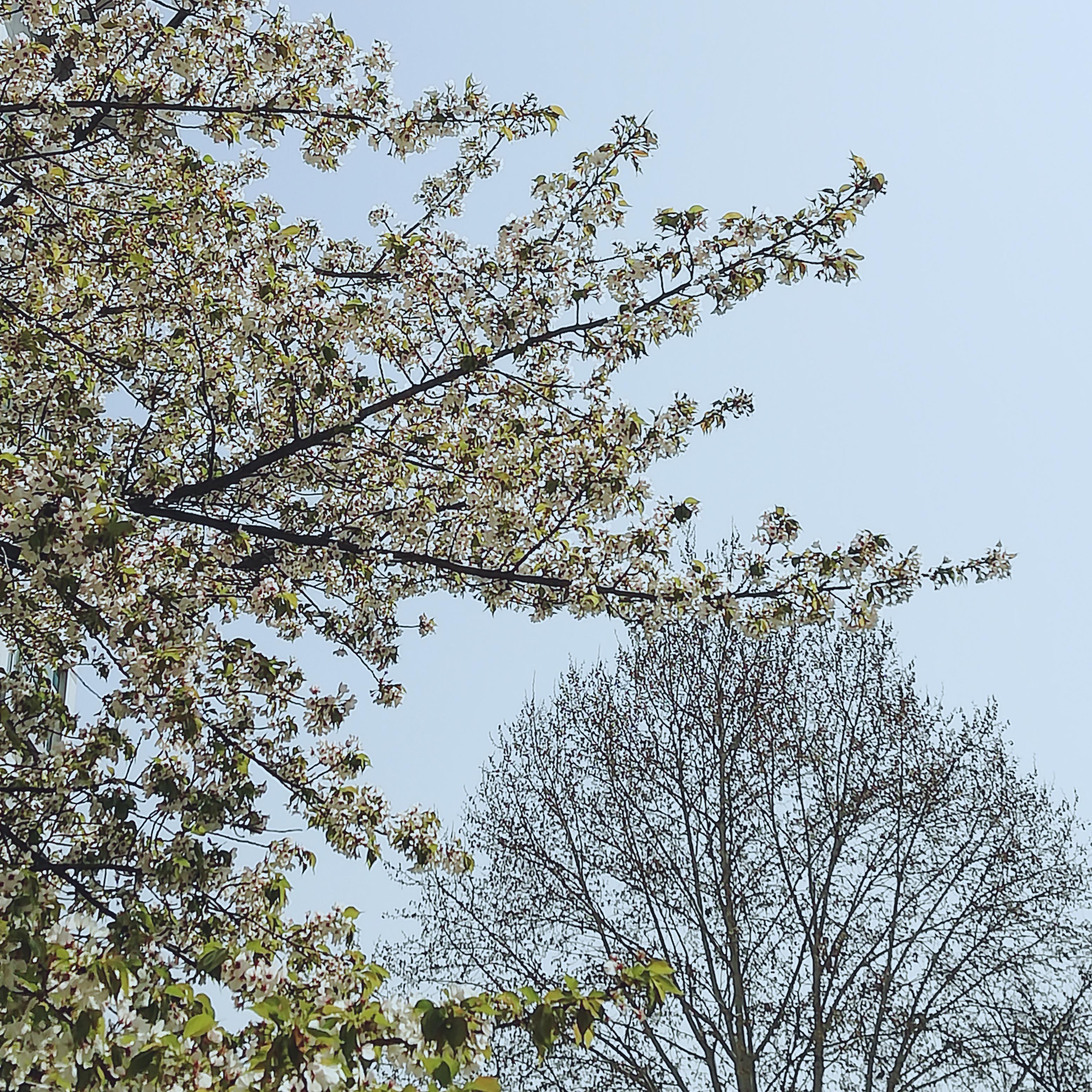 qing chen ni zuo shang 676 qu shang ban ni yi ding bu zhi dao ni bu zai jia de shi hou wo zhi neng xiang zhe ni tan qin ran hou qu yuan yang mai xie cai deng ni xia ban hui jia