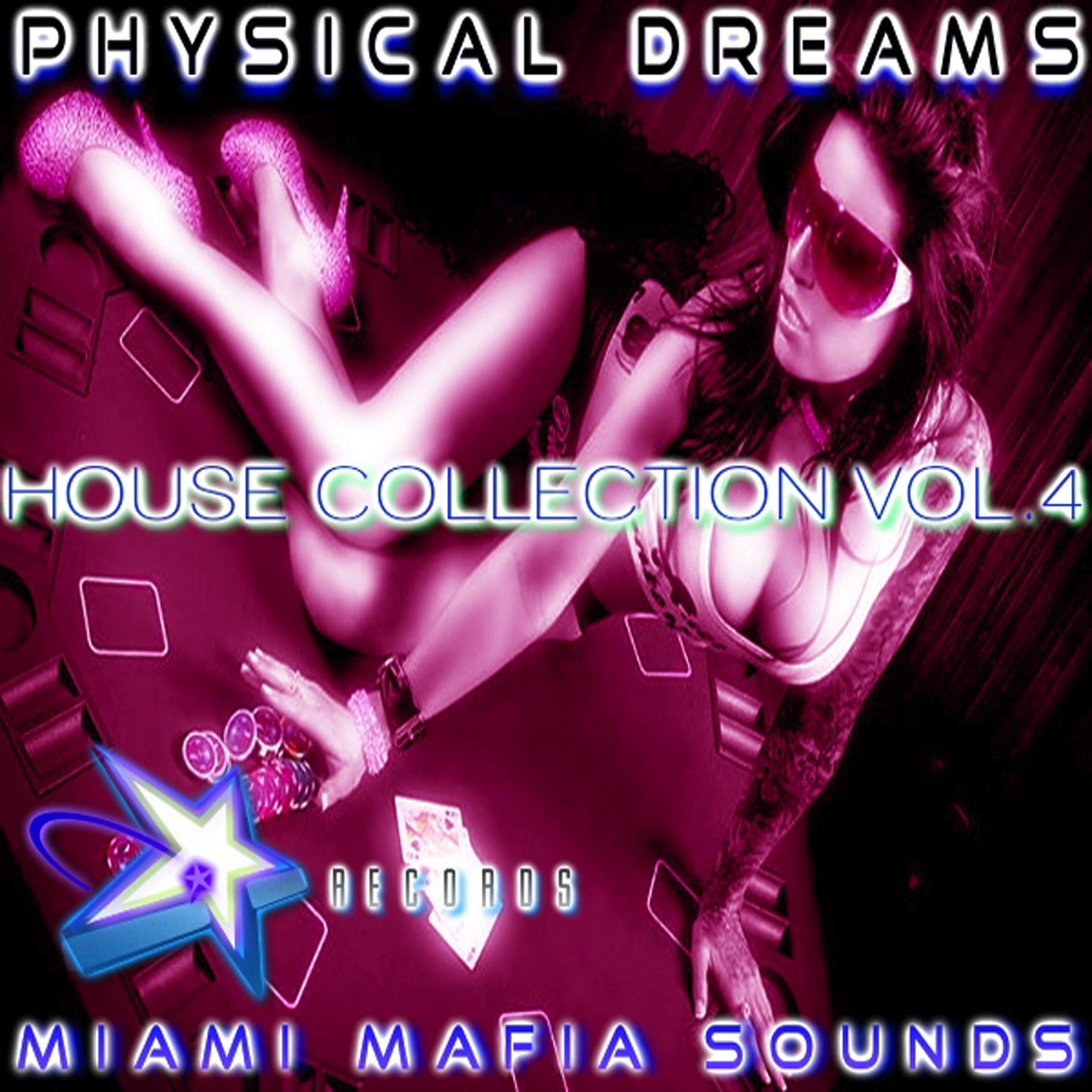 Physical Dreams House Collection, Vol. 4