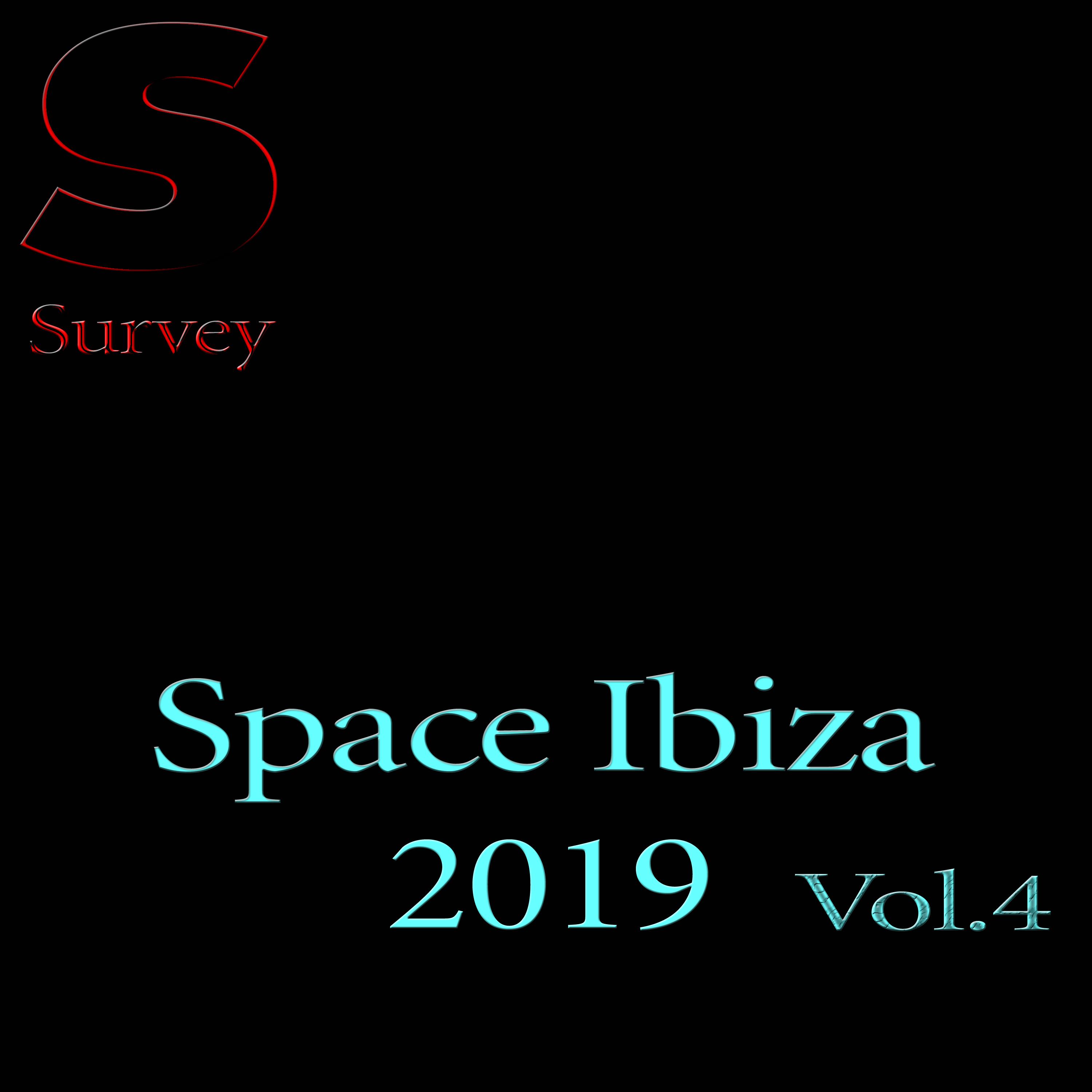 Space Ibiza 2019, Vol.4