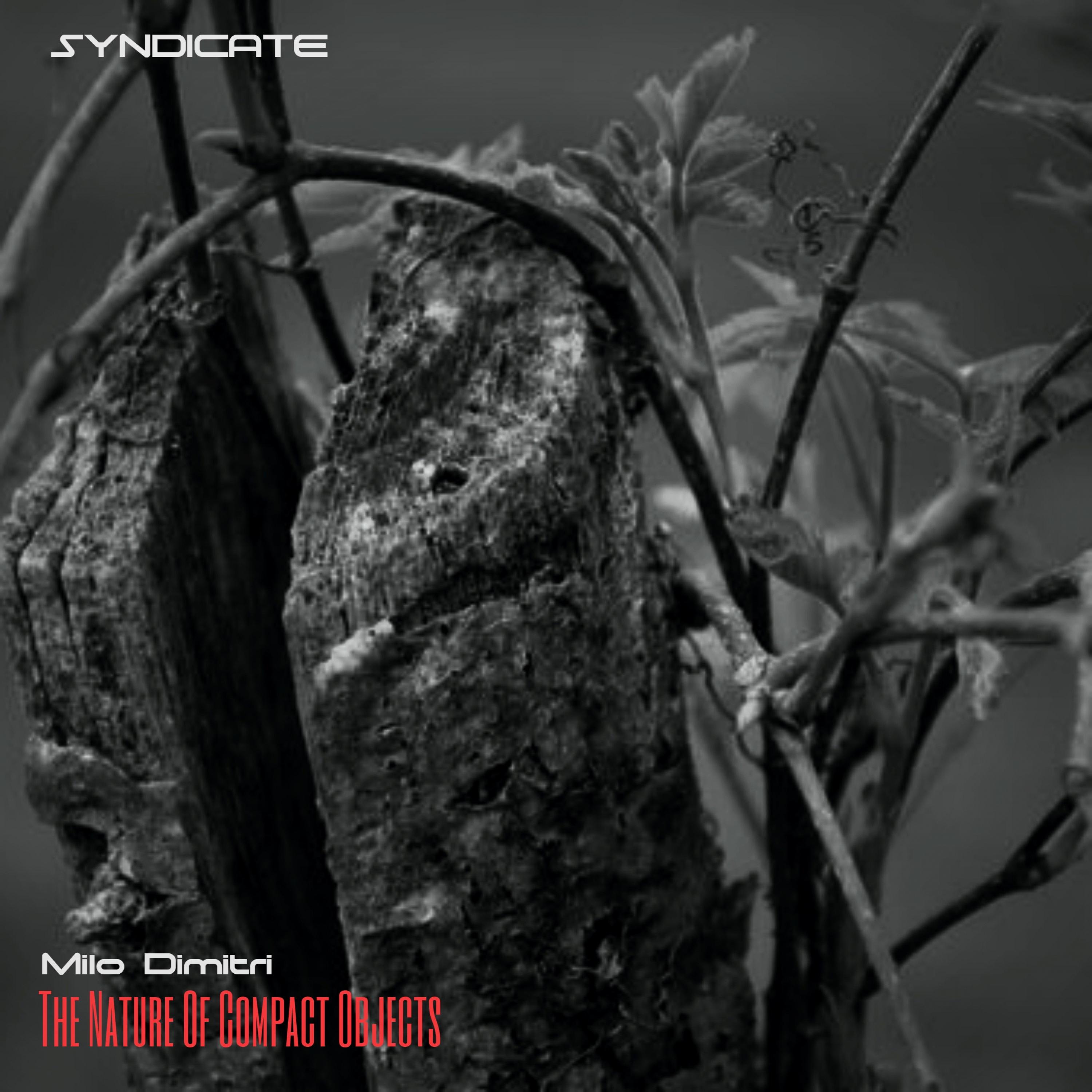 The Nature Of Compact Objects