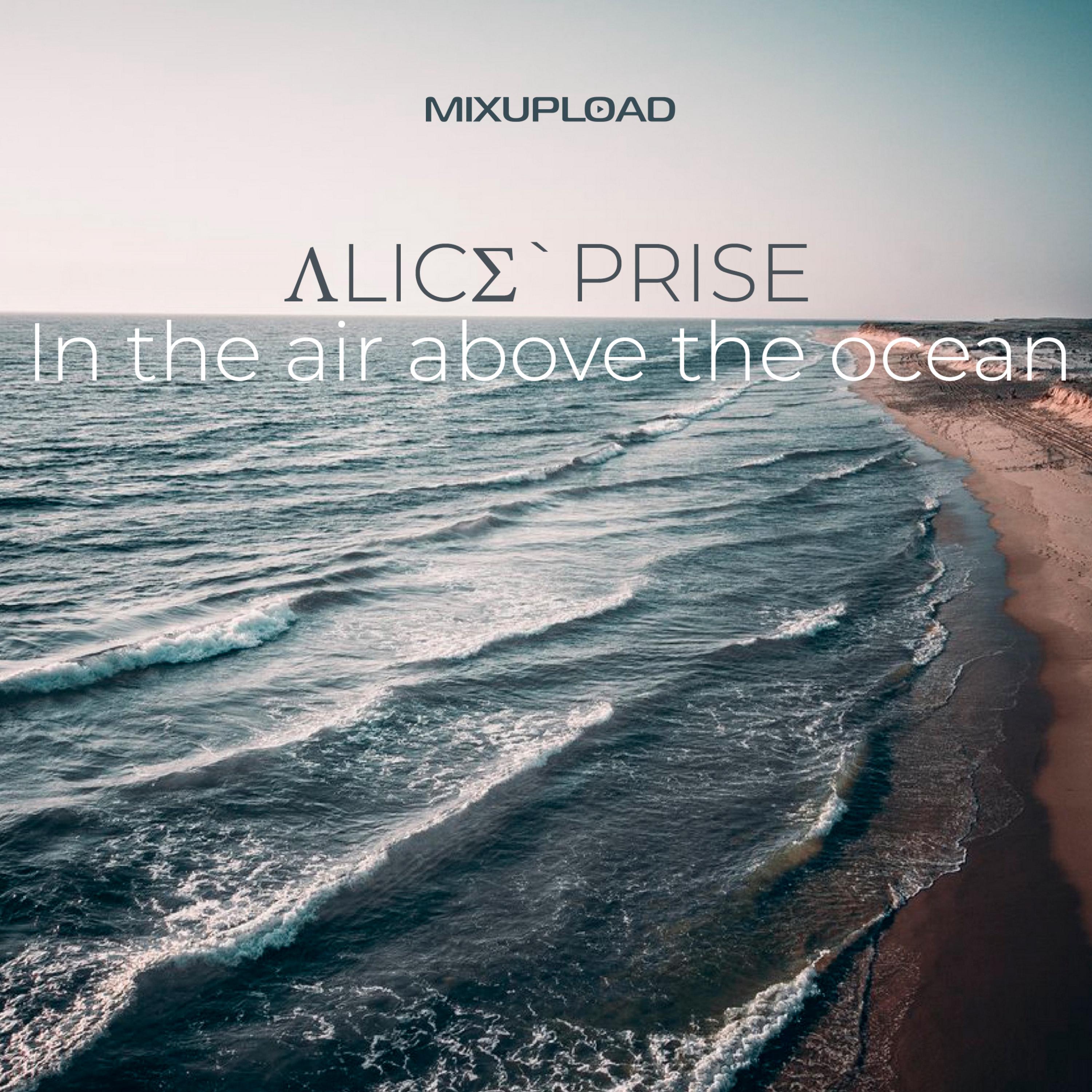 In the air above the ocean