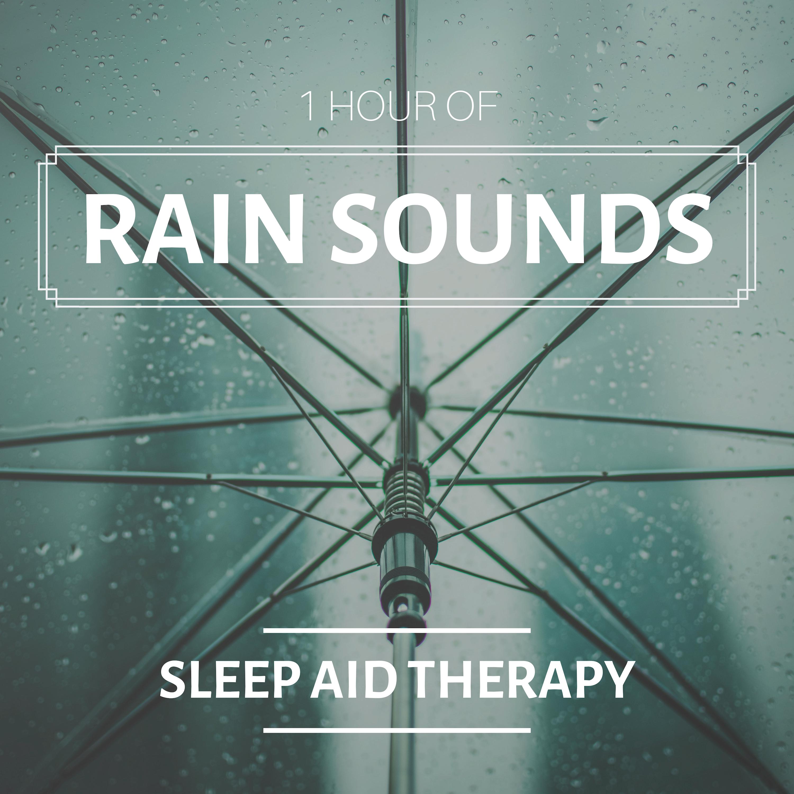 1 Hour of Rain Sounds: Sleep Aid Therapy