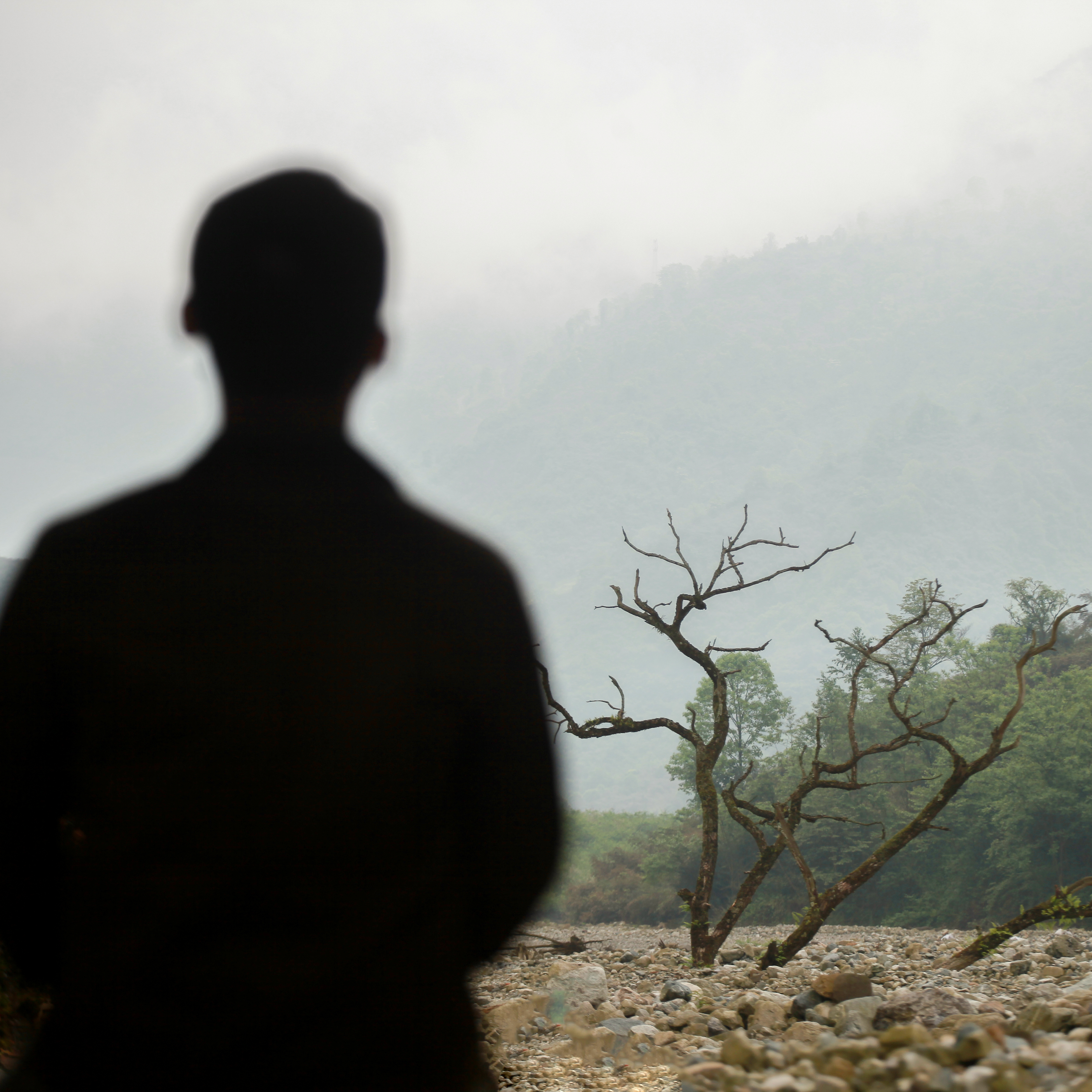 zhe yi sheng guan yu ni de feng jing