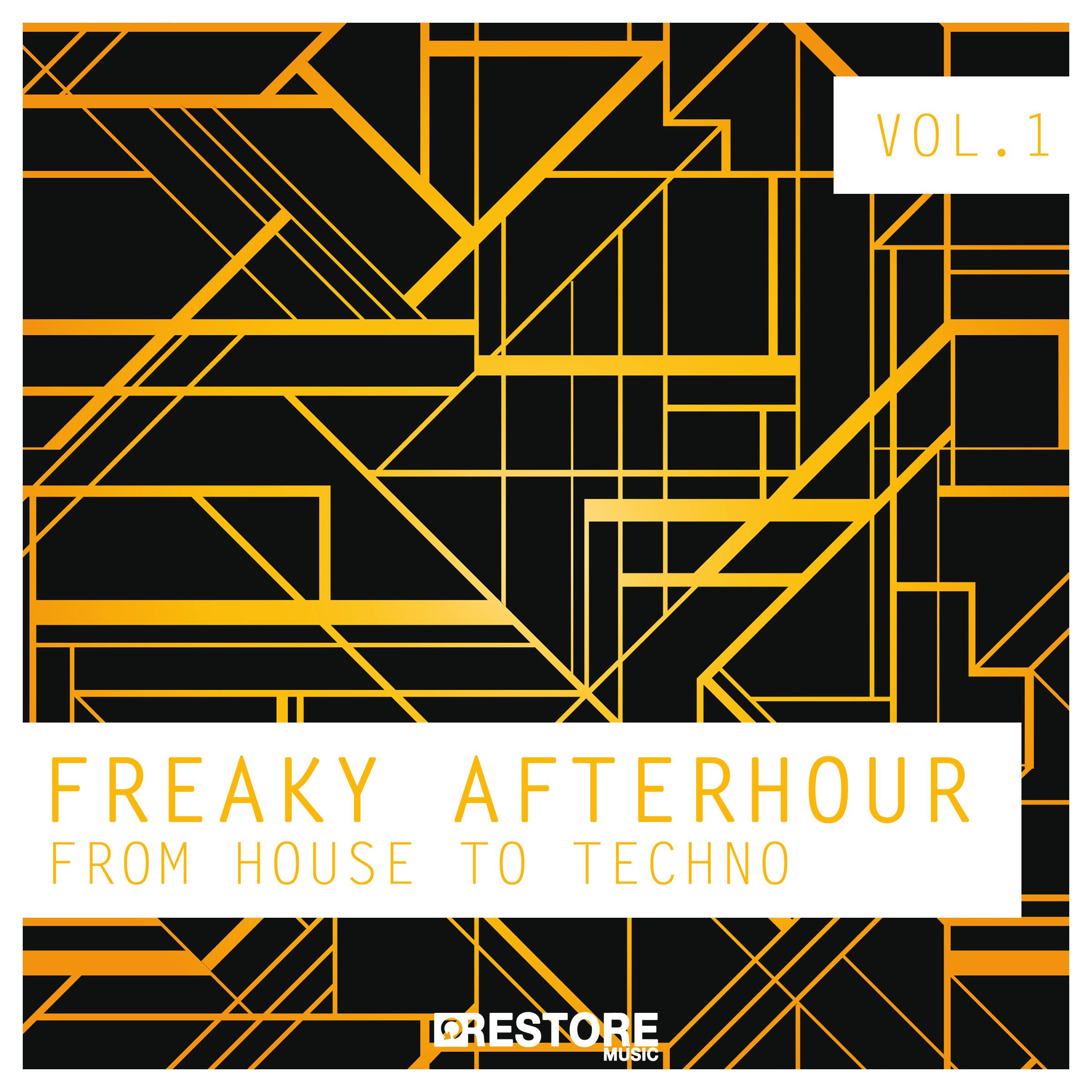 Freaky Afterhour - From House to Techno, Vol. 1