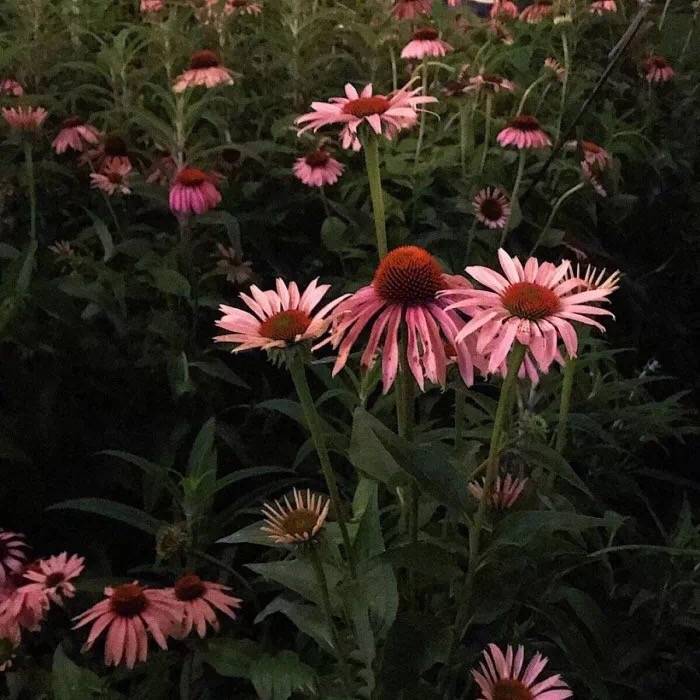 bu ba ya'' convolk type beat''