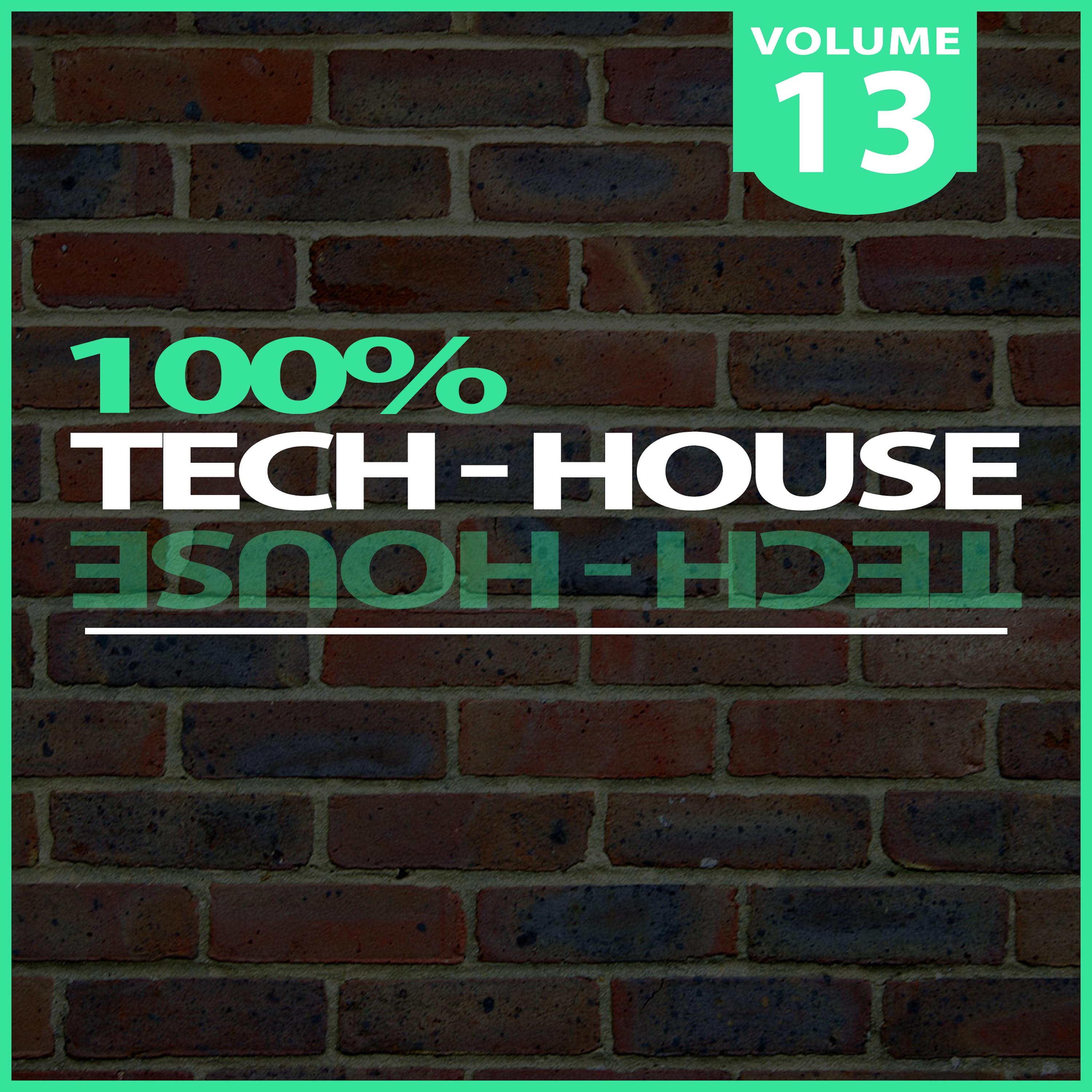 100% Tech-House, Vol. 13