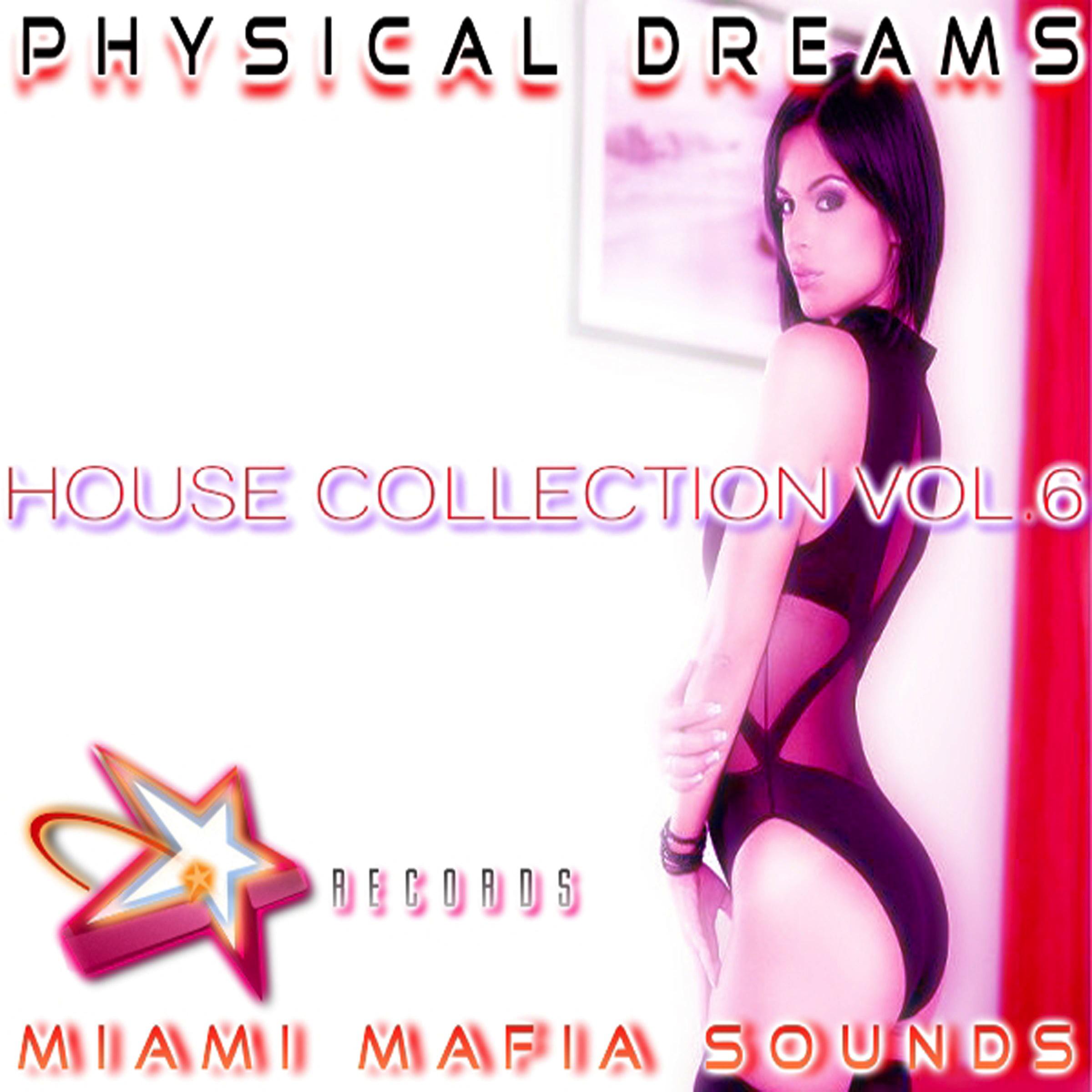 Physical Dreams House Collection, Vol. 6