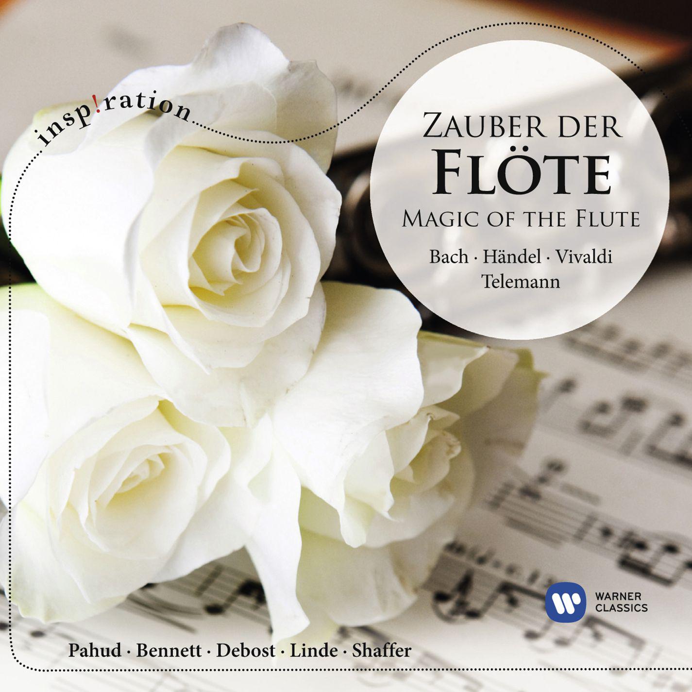Flute Partita in A Minor, BWV 1013:I. Allemande