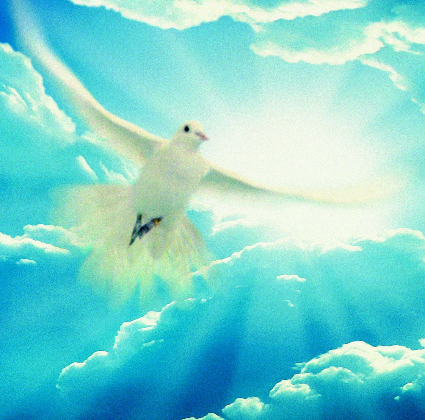 Peace - Music For Reflection And Consolation