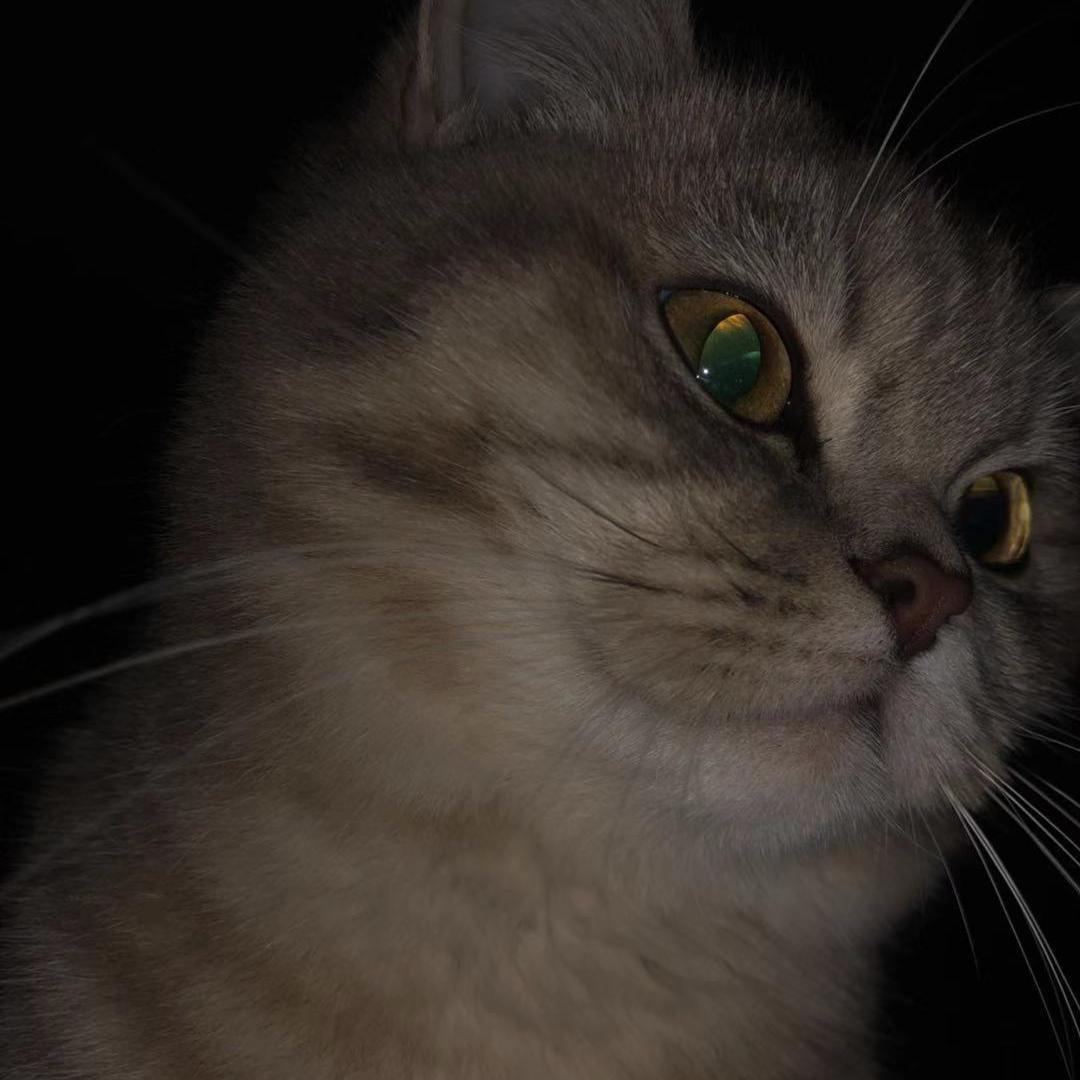 mei you yuan zuo hao ting de Cover