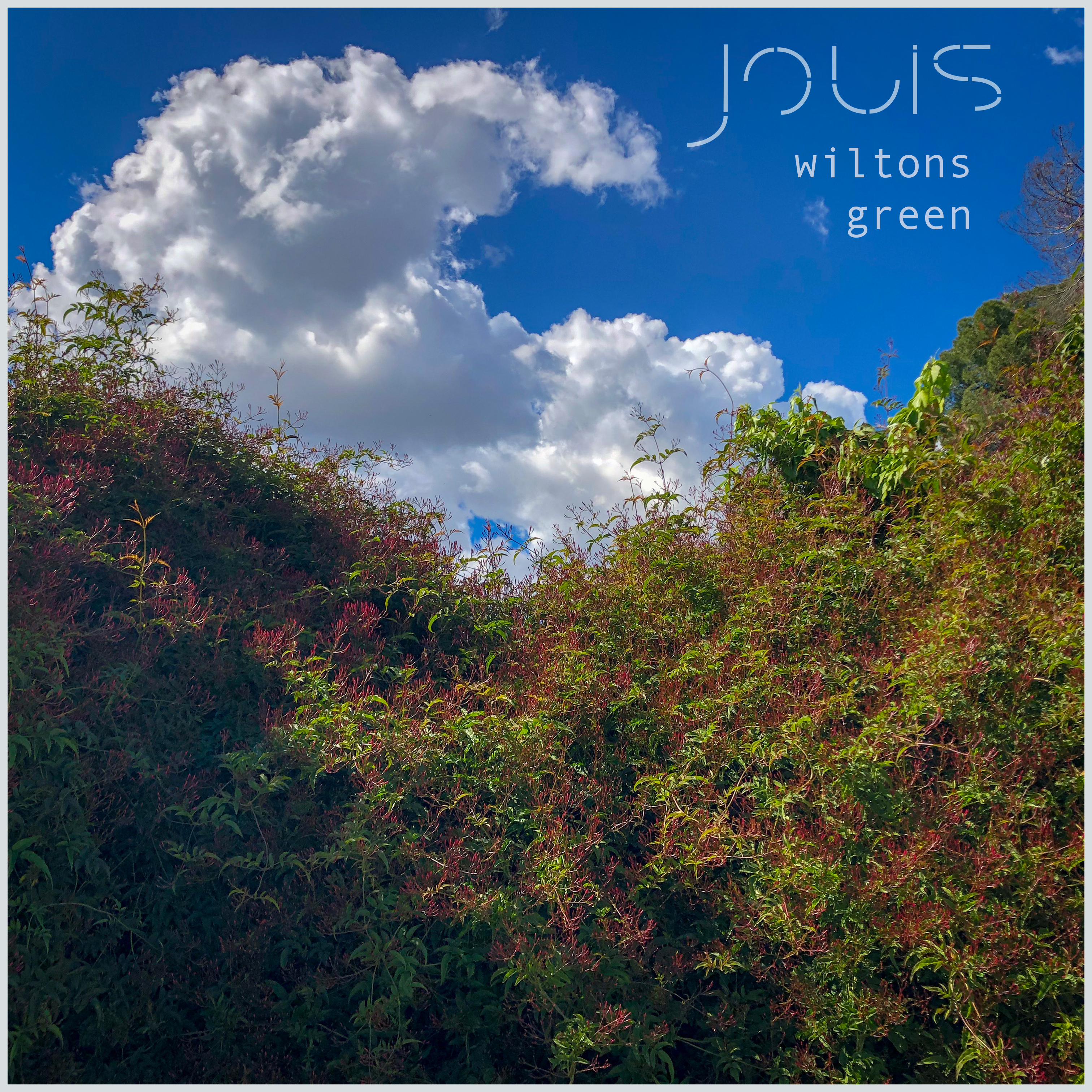 Wiltons Green