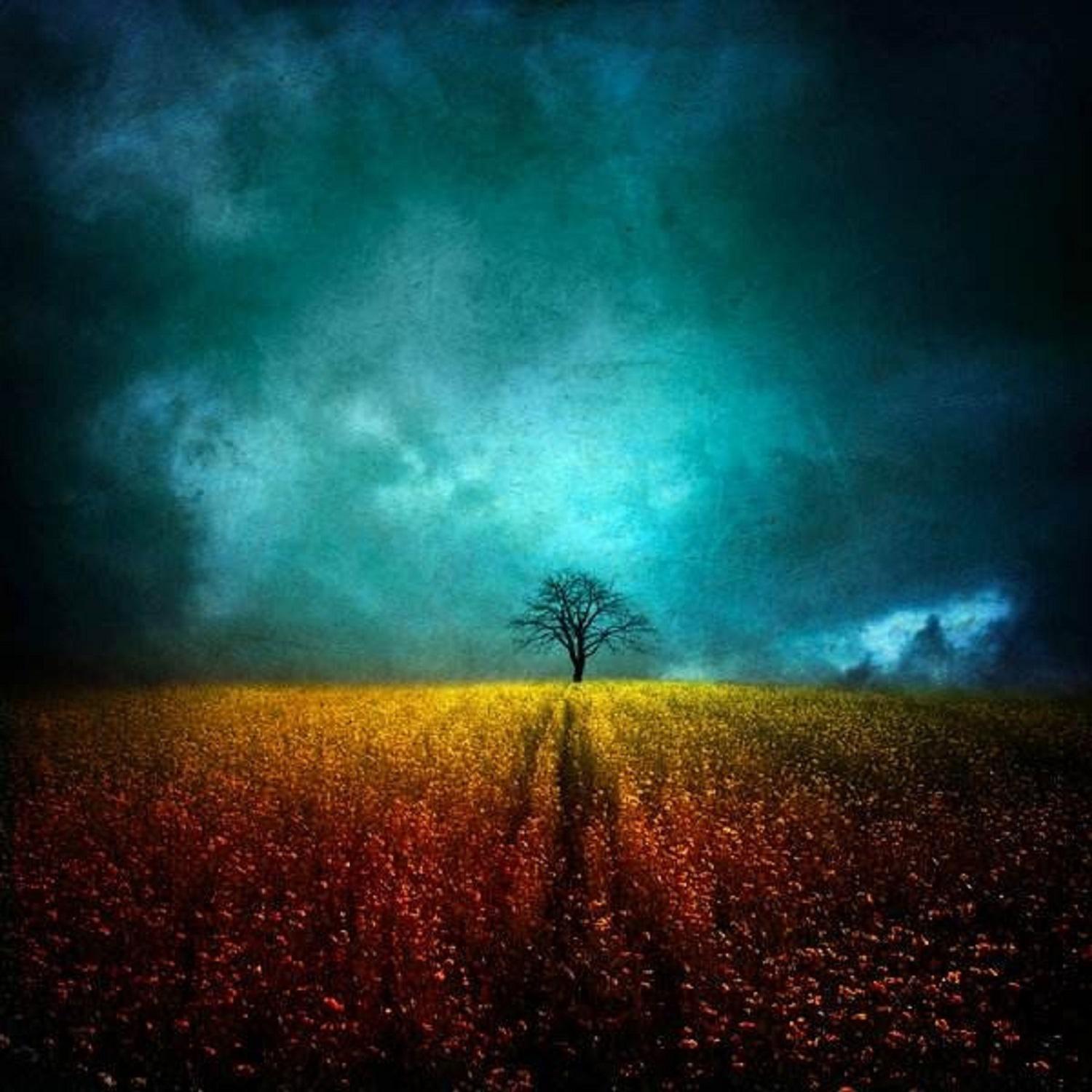 huan jue zhong de meng