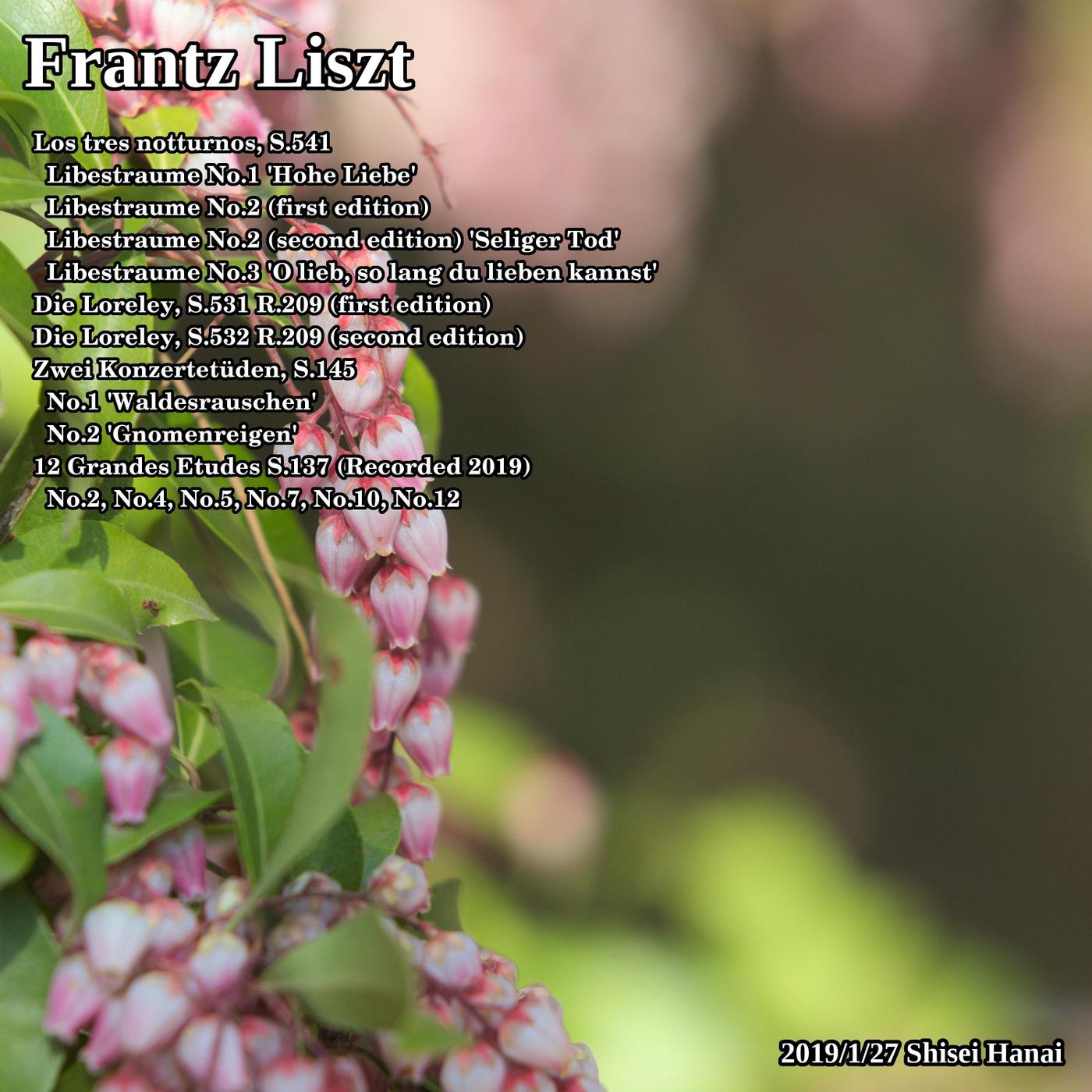 Los Tres Notturnos, S. 541: Liebestraum No. 3 "O Lieb, So Lang du Lieben Kannst"